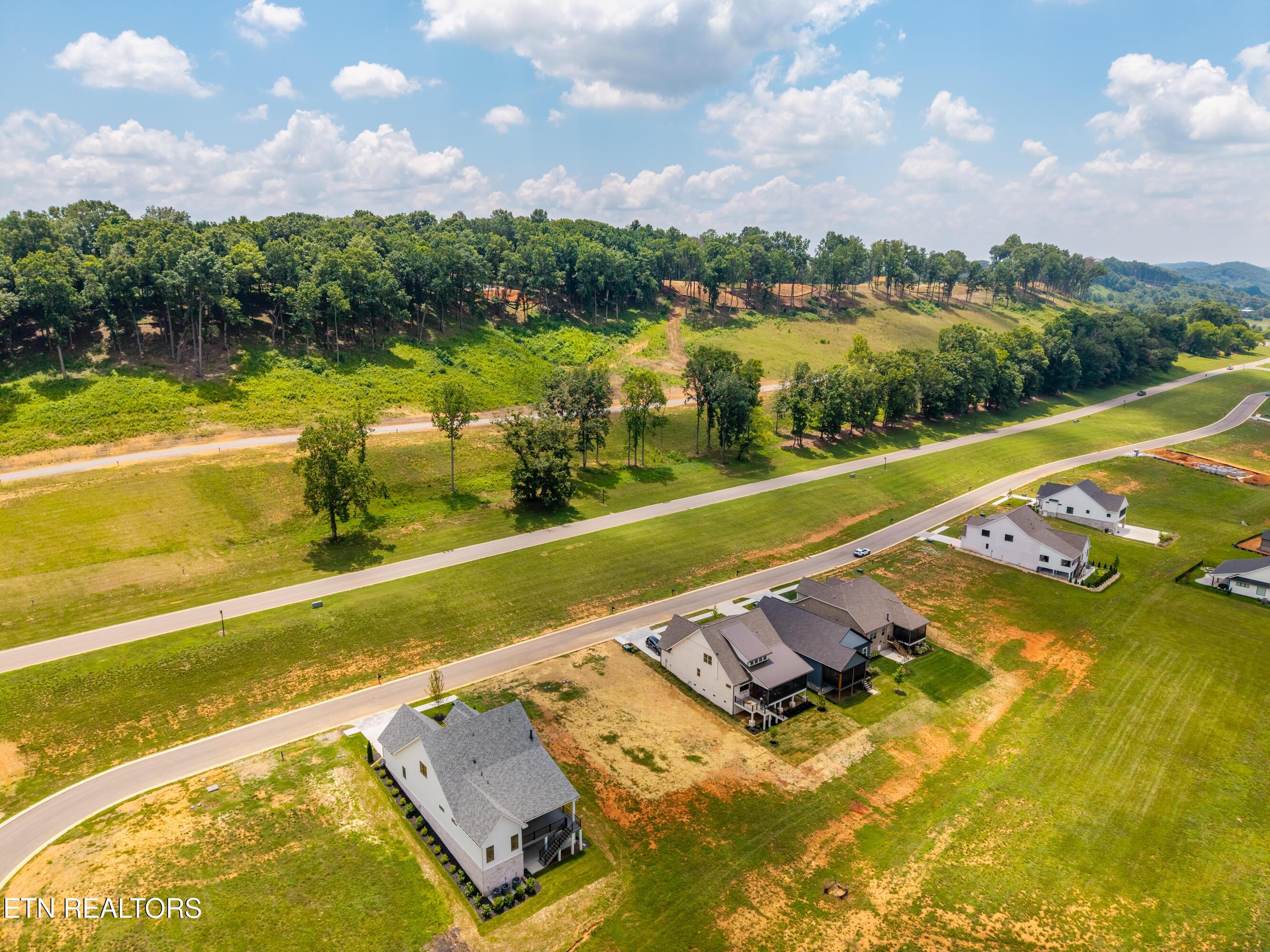 1462 Black Bear Circle, Loudon, TN - Fort Loudoun and Tellico Lake Real Estate - Image# 7
