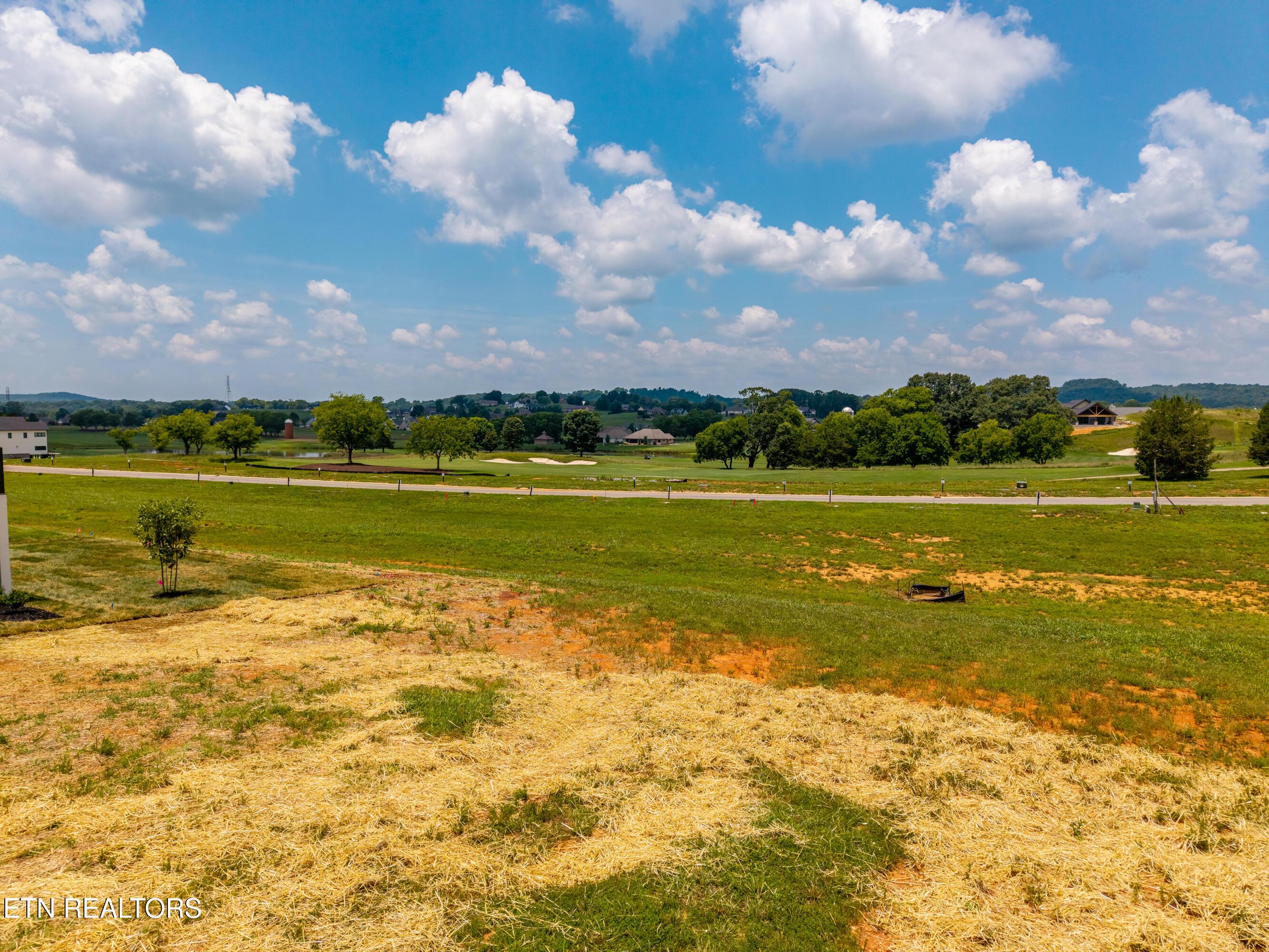 1462 Black Bear Circle, Loudon, TN - Fort Loudoun and Tellico Lake Real Estate - Image# 4
