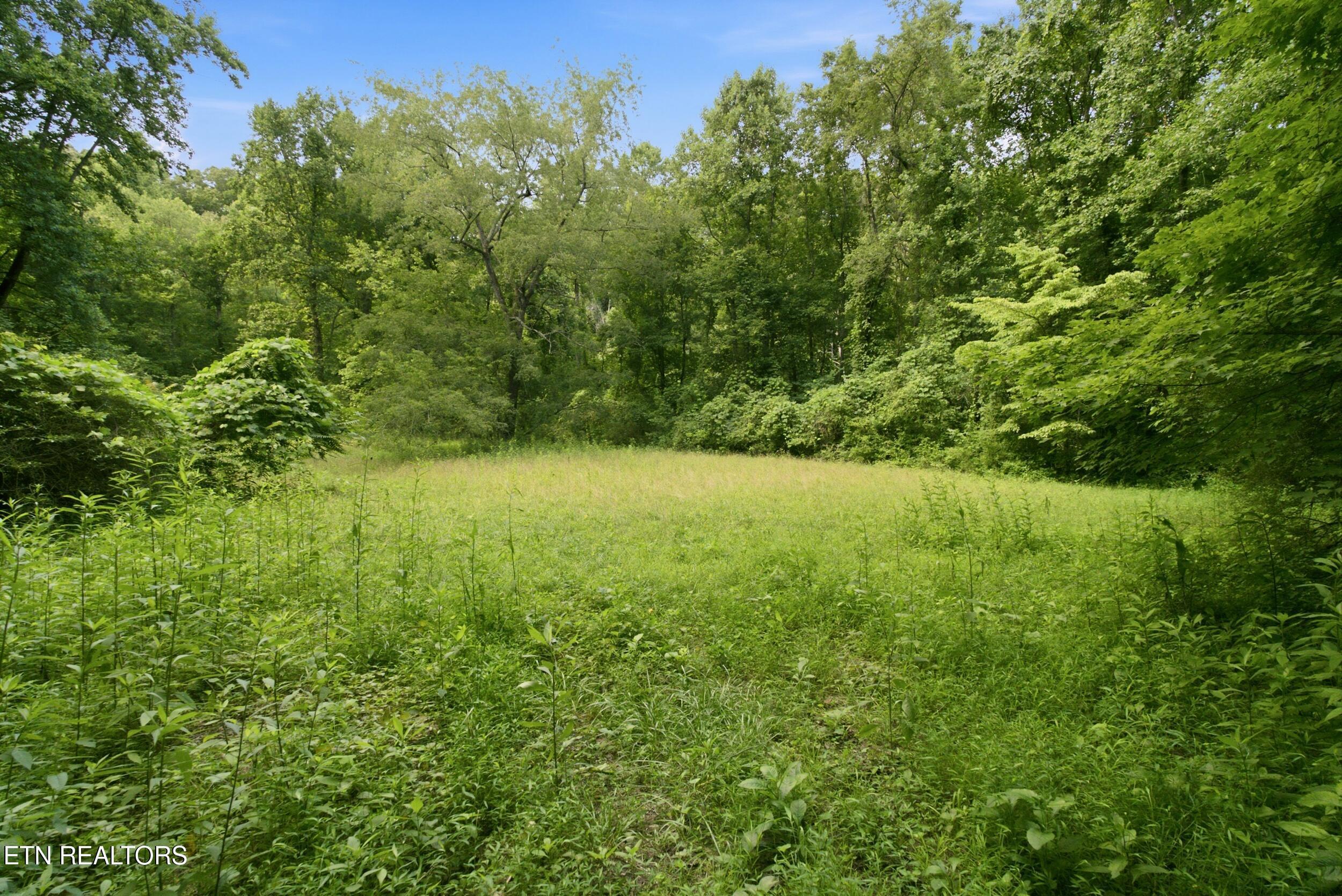 2777 Swanson Lane, Knoxville, TN