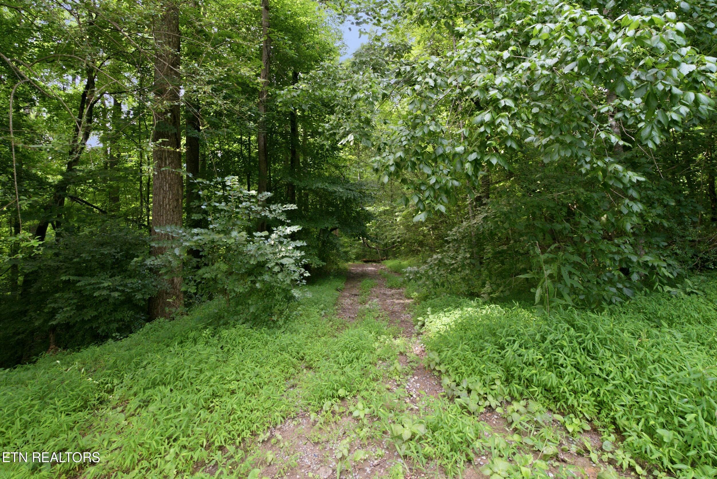 2777 Swanson Lane, Knoxville, TN - Fort Loudoun and Tellico Lake Real Estate - Image# 11