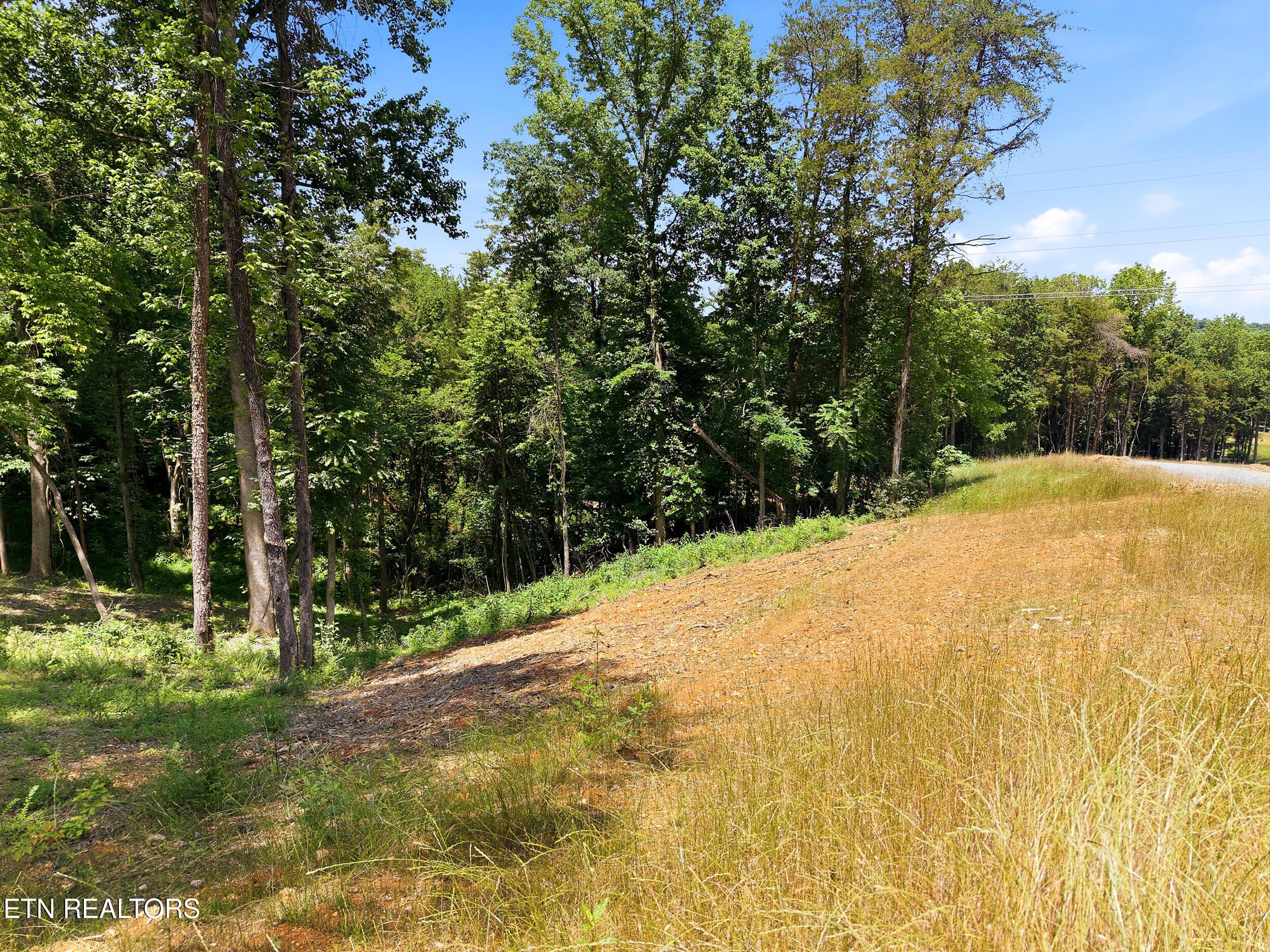 147 Summit View Drive, Loudon, TN - Fort Loudoun and Tellico Lake Real Estate - Image# 6