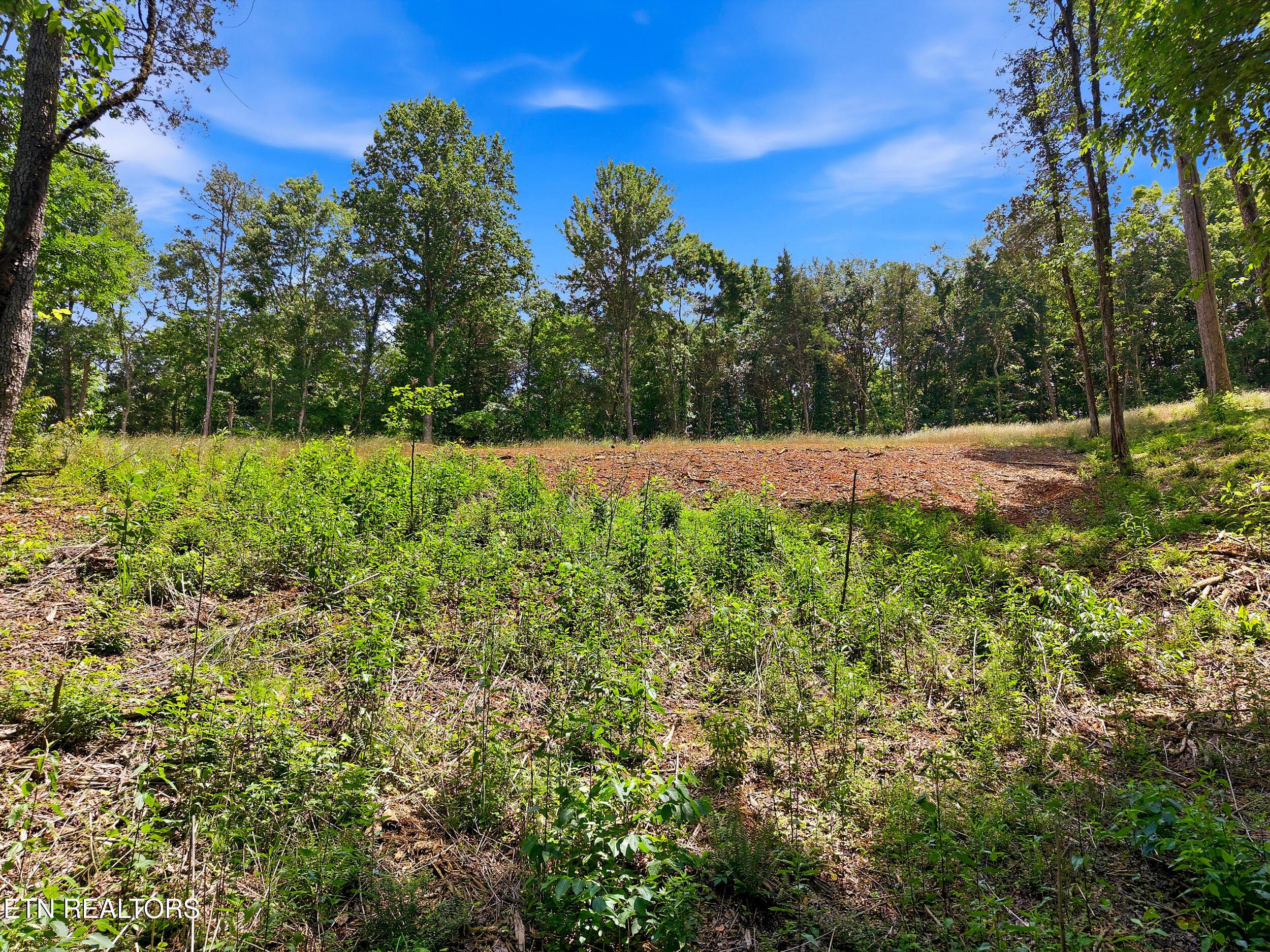 147 Summit View Drive, Loudon, TN - Fort Loudoun and Tellico Lake Real Estate - Image# 7