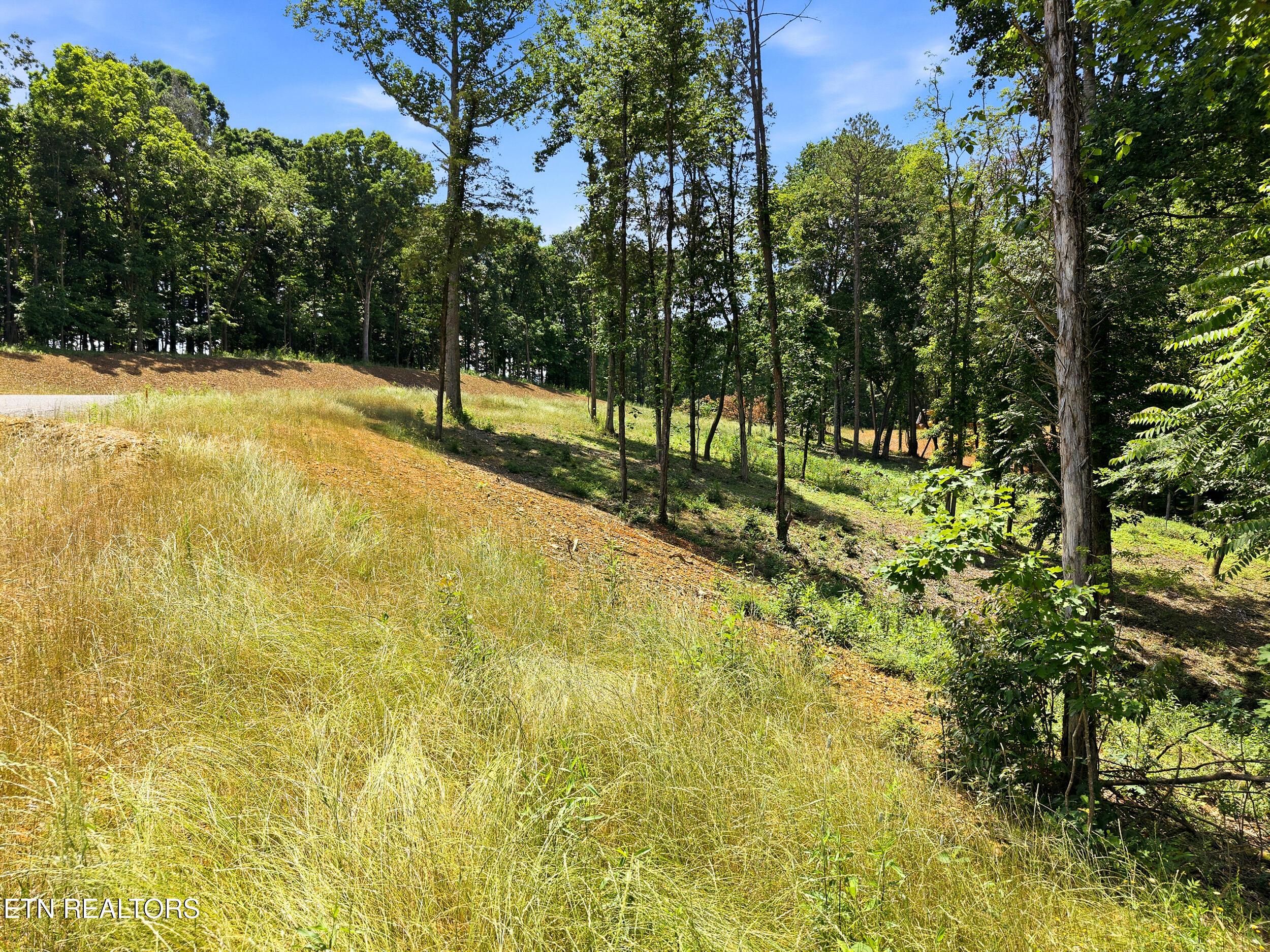 147 Summit View Drive, Loudon, TN - Fort Loudoun and Tellico Lake Real Estate - Image# 5