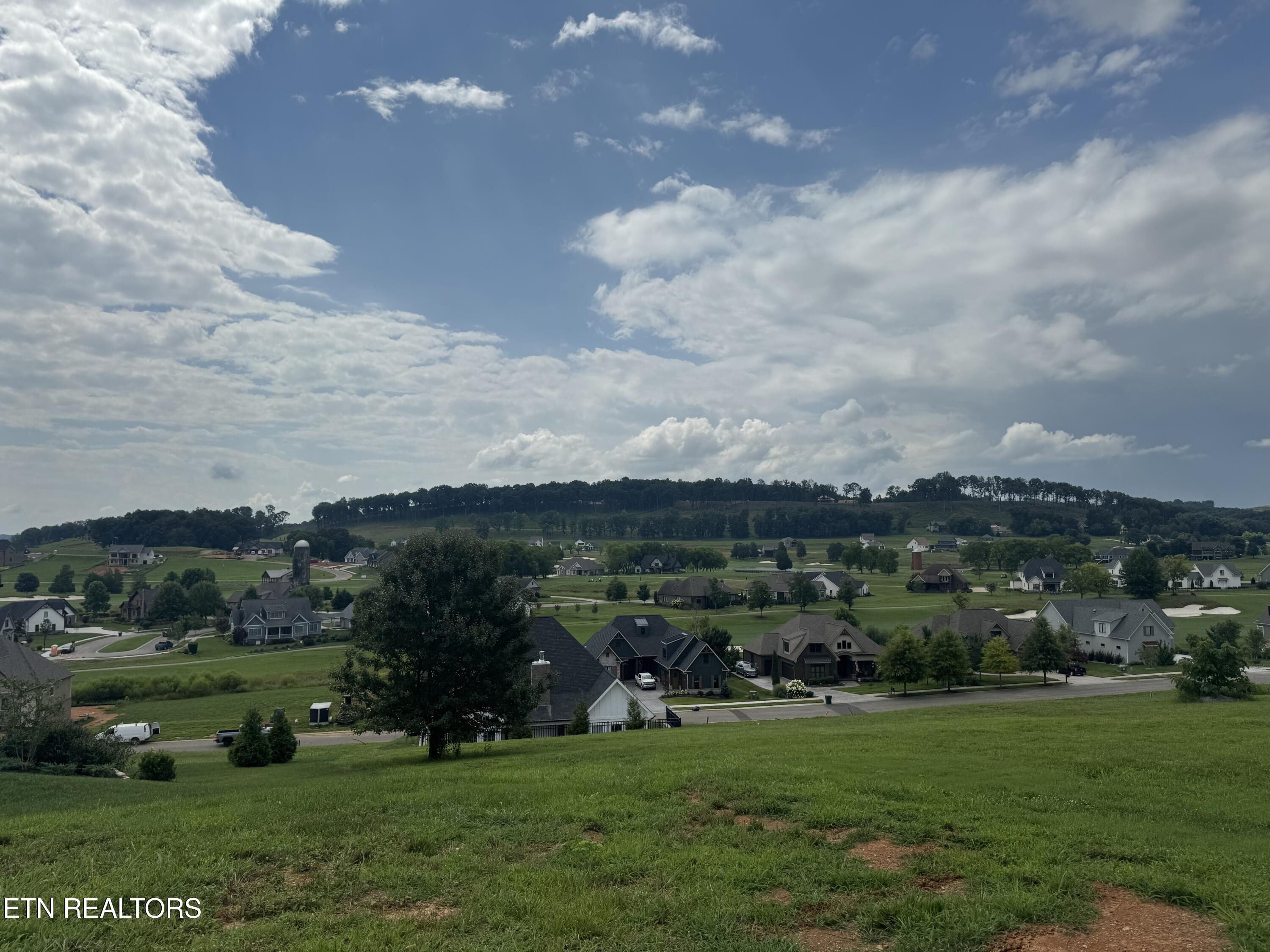 325 Eagle Point Drive, Loudon, TN - Fort Loudoun and Tellico Lake Real Estate - Image# 2