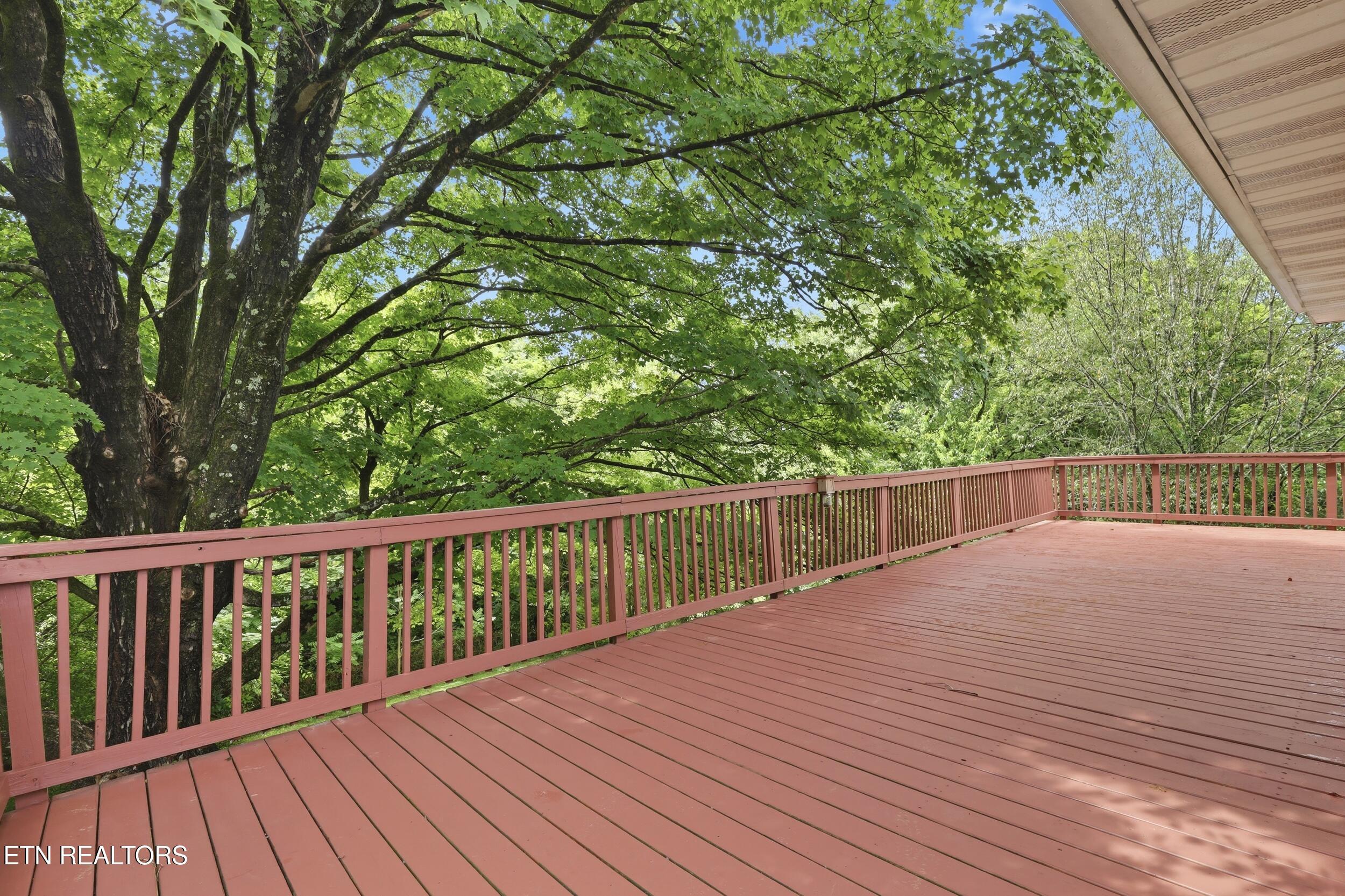 310 E Moody Ave, Knoxville, TN - Fort Loudoun and Tellico Lake Real Estate - Image# 36