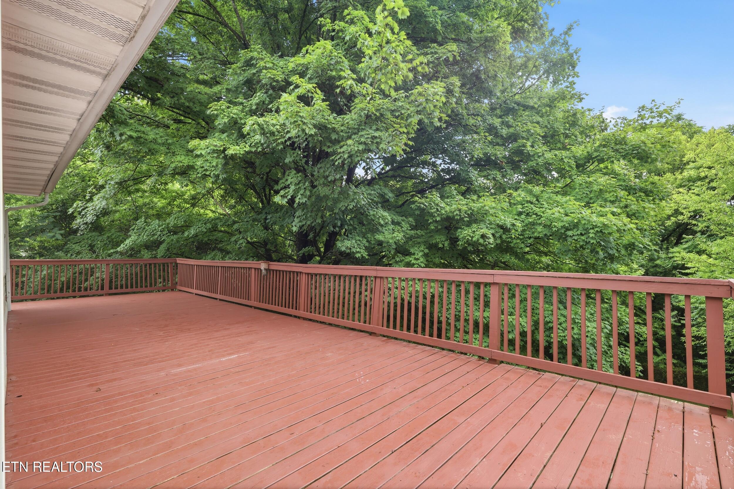 310 E Moody Ave, Knoxville, TN - Fort Loudoun and Tellico Lake Real Estate - Image# 43
