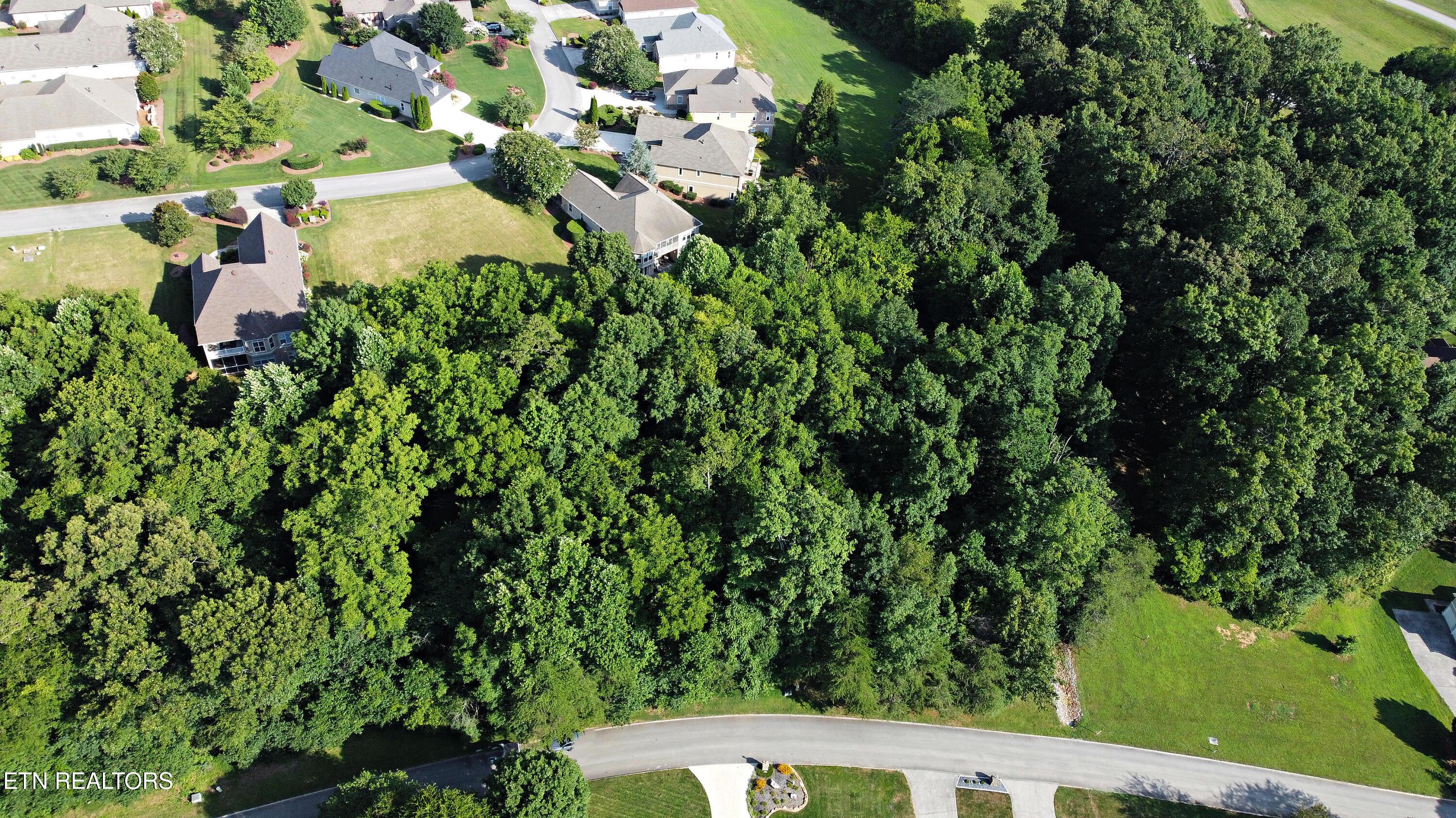 630 Sandpiper Drive, Vonore, TN - Fort Loudoun and Tellico Lake Real Estate - Image# 12