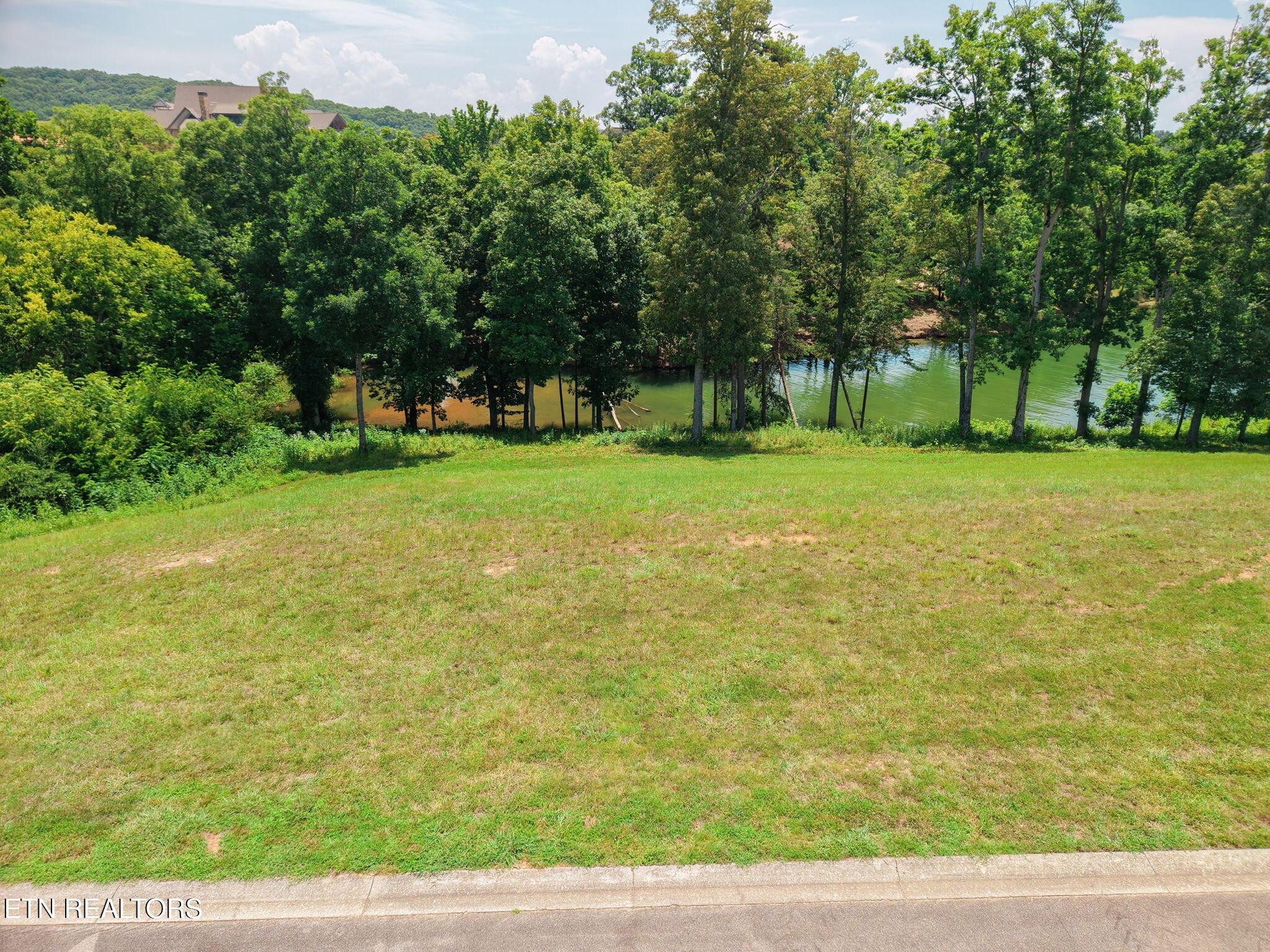 161 Careen Court, Lenoir City, TN - Fort Loudoun and Tellico Lake Real Estate - Image# 5