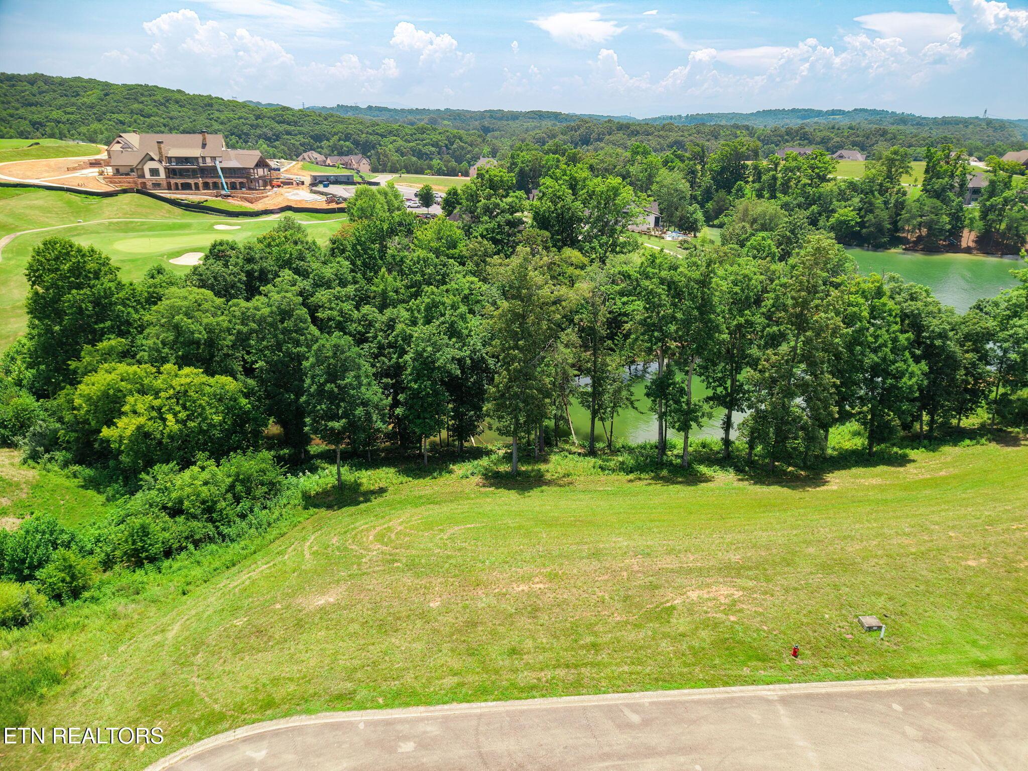 161 Careen Court, Lenoir City, TN - Fort Loudoun and Tellico Lake Real Estate - Image# 6
