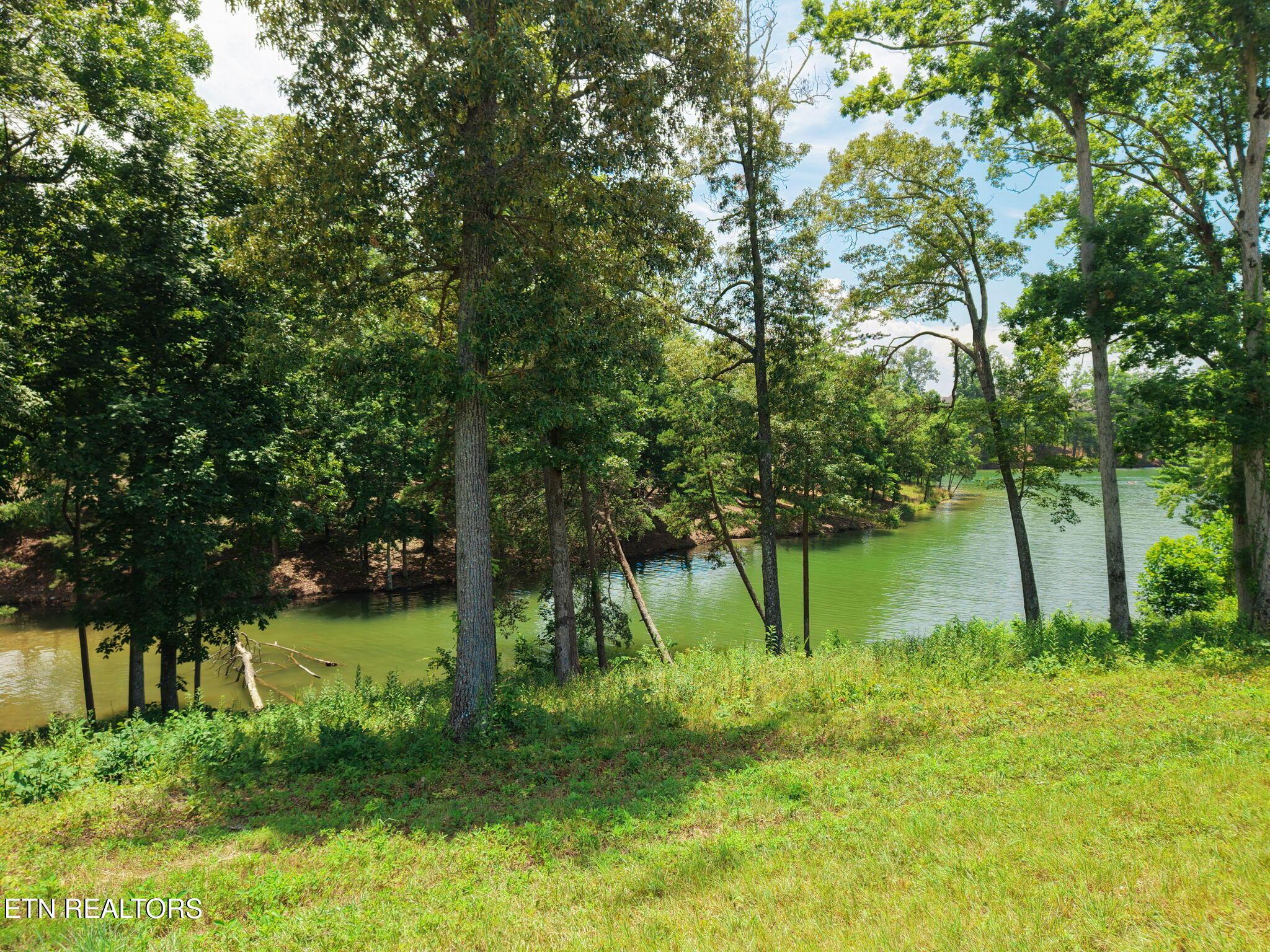 161 Careen Court, Lenoir City, TN - Fort Loudoun and Tellico Lake Real Estate - Image# 20