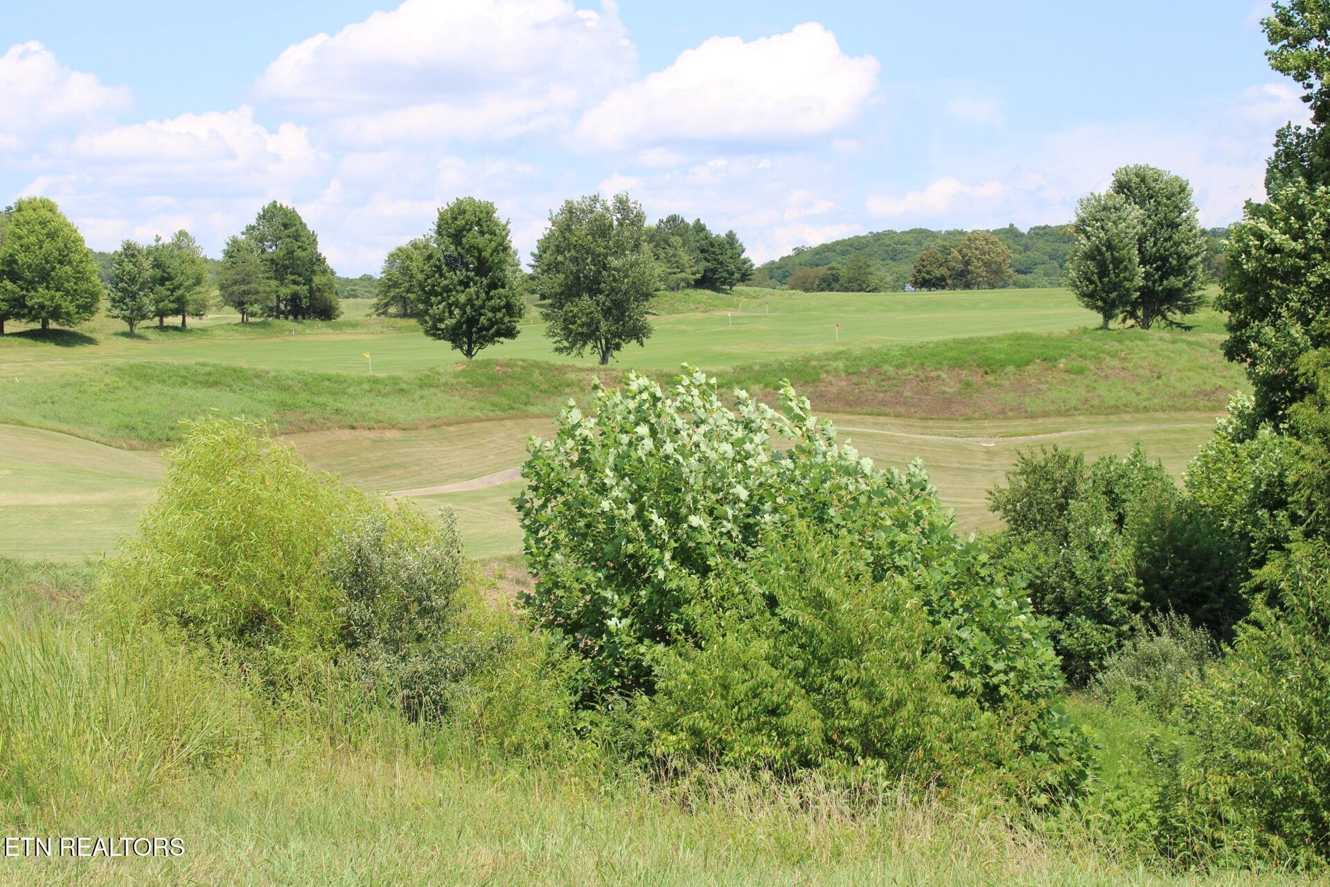 161 Careen Court, Lenoir City, TN - Fort Loudoun and Tellico Lake Real Estate - Image# 21