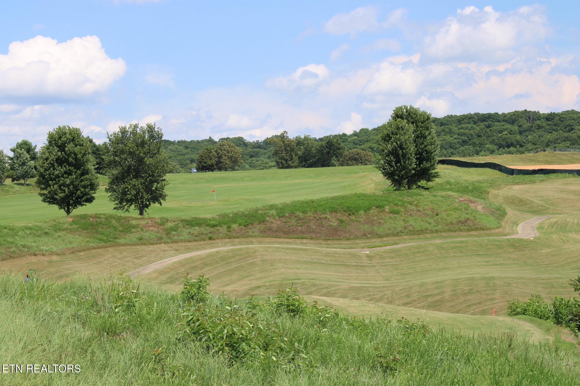 161 Careen Court, Lenoir City, TN - Fort Loudoun and Tellico Lake Real Estate - Image# 22