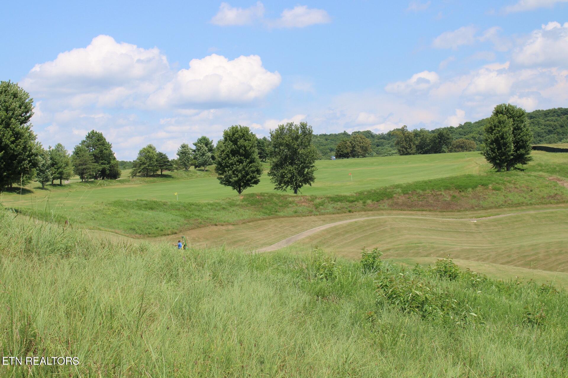 161 Careen Court, Lenoir City, TN - Fort Loudoun and Tellico Lake Real Estate - Image# 24