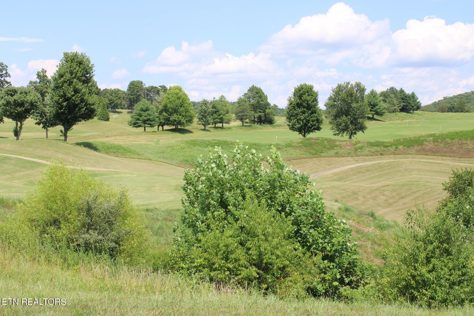 161 Careen Court, Lenoir City, TN - Fort Loudoun and Tellico Lake Real Estate - Image# 25