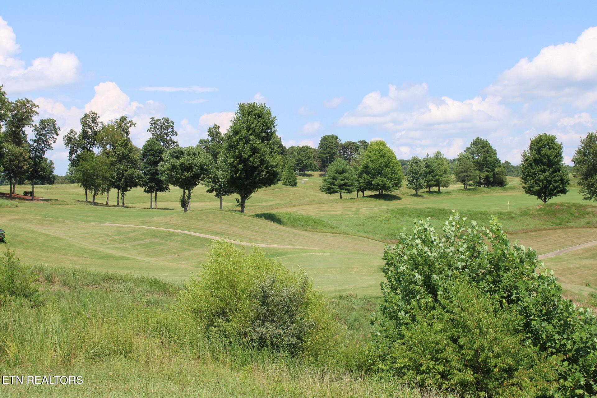 161 Careen Court, Lenoir City, TN - Fort Loudoun and Tellico Lake Real Estate - Image# 26