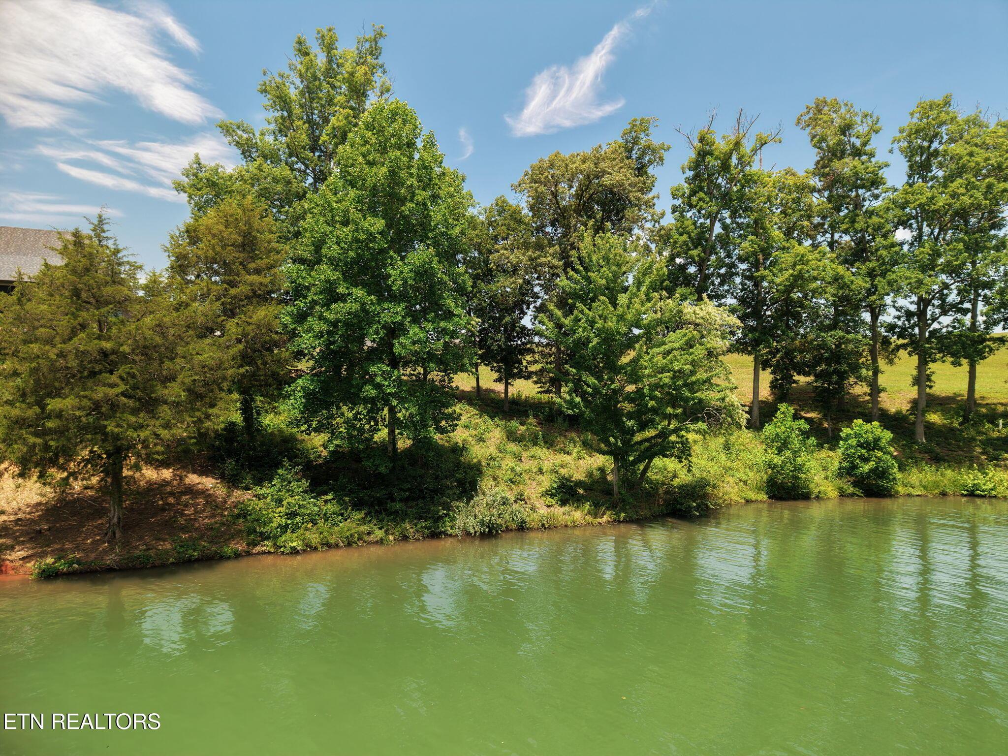 403 Careen Court, Lenoir City, TN - Fort Loudoun and Tellico Lake Real Estate - Image# 18