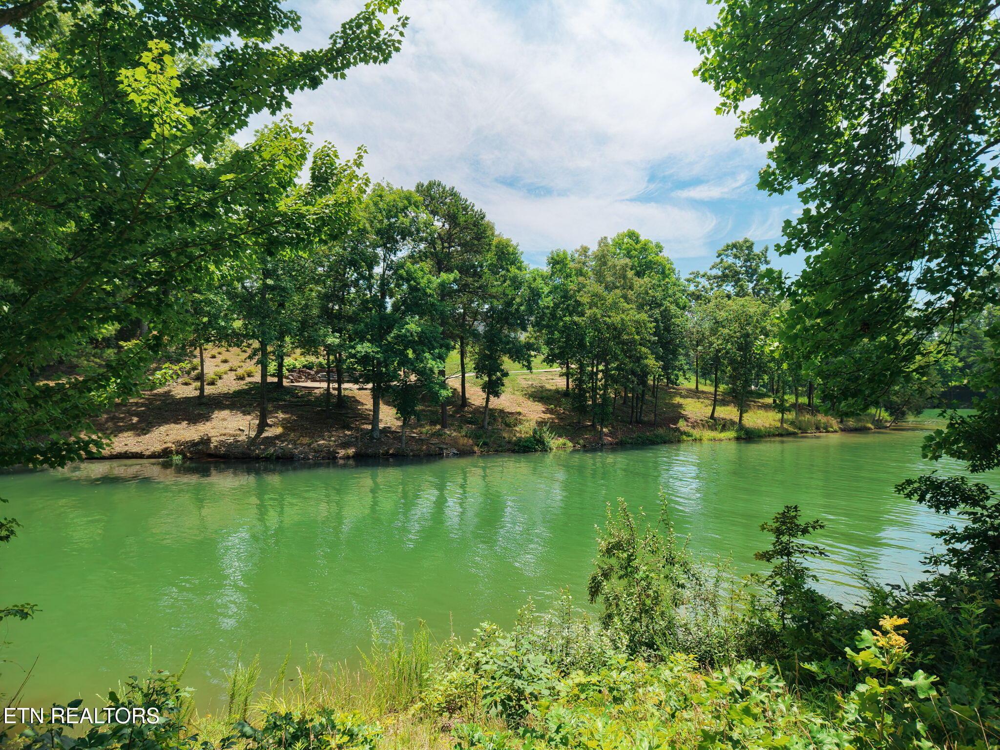 259 Careen Court, Lenoir City, TN - Fort Loudoun and Tellico Lake Real Estate - Image# 5