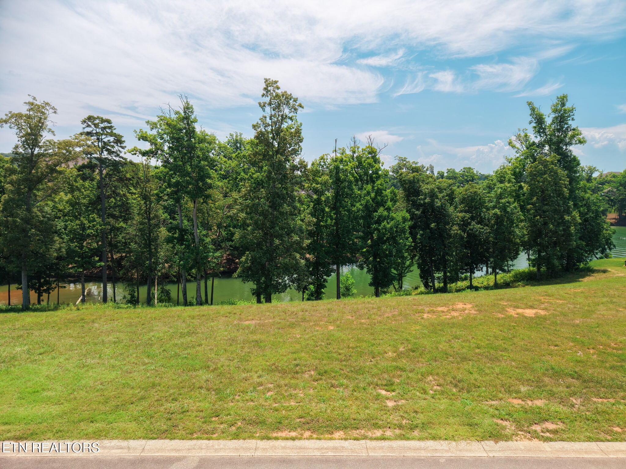 259 Careen Court, Lenoir City, TN - Fort Loudoun and Tellico Lake Real Estate - Image# 6