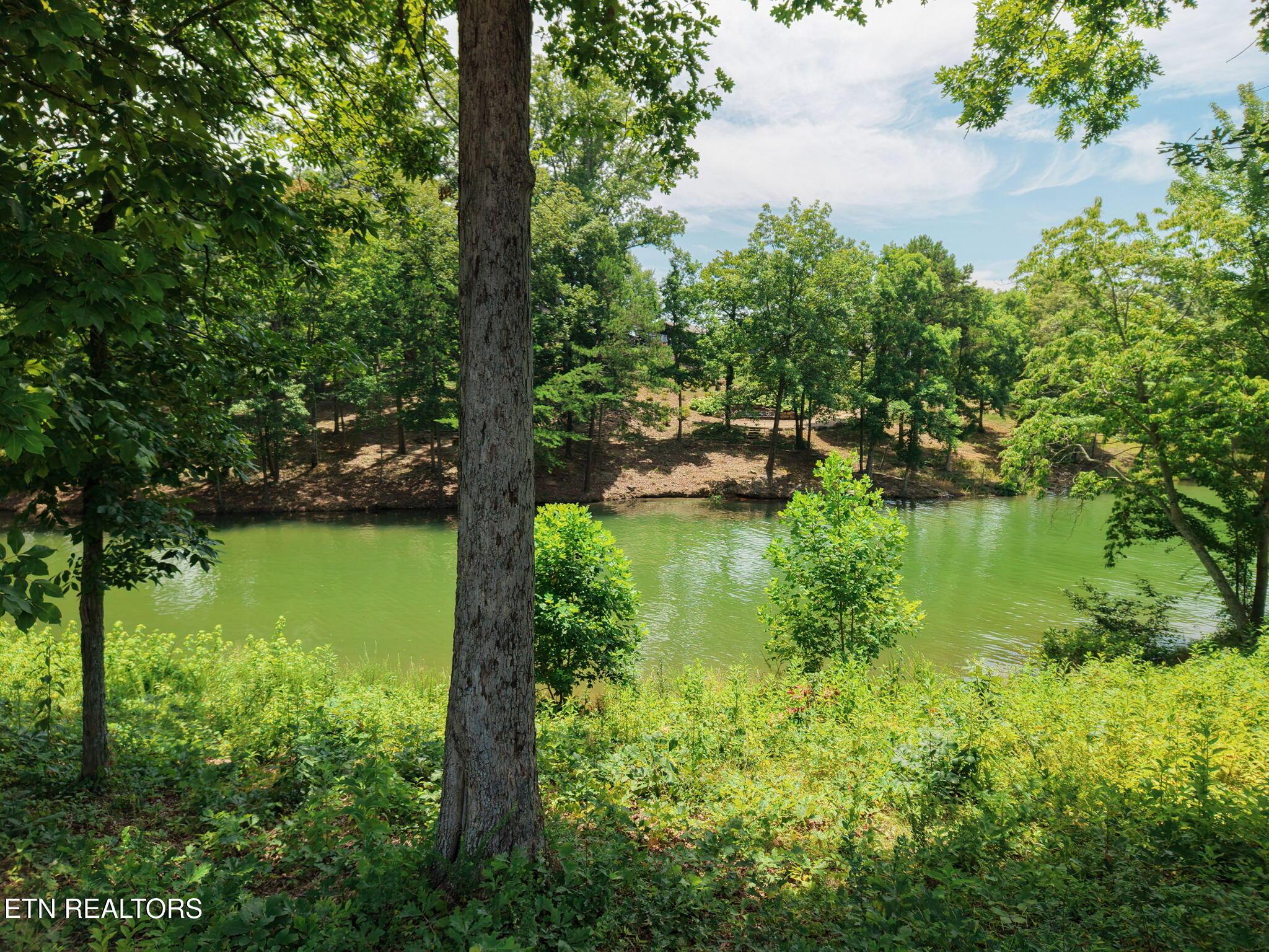259 Careen Court, Lenoir City, TN - Fort Loudoun and Tellico Lake Real Estate - Image# 21