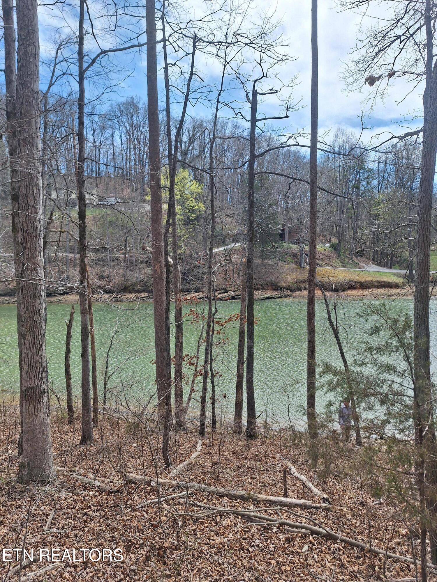 13136 George Lovelace Lane, Knoxville, TN