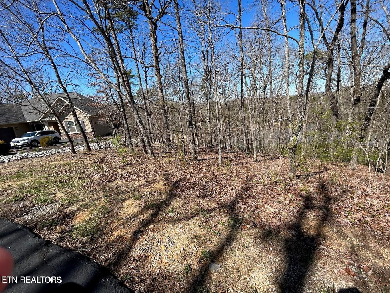 313 Skiatook Circle, Loudon, TN - Fort Loudoun and Tellico Lake Real Estate - Image# 2