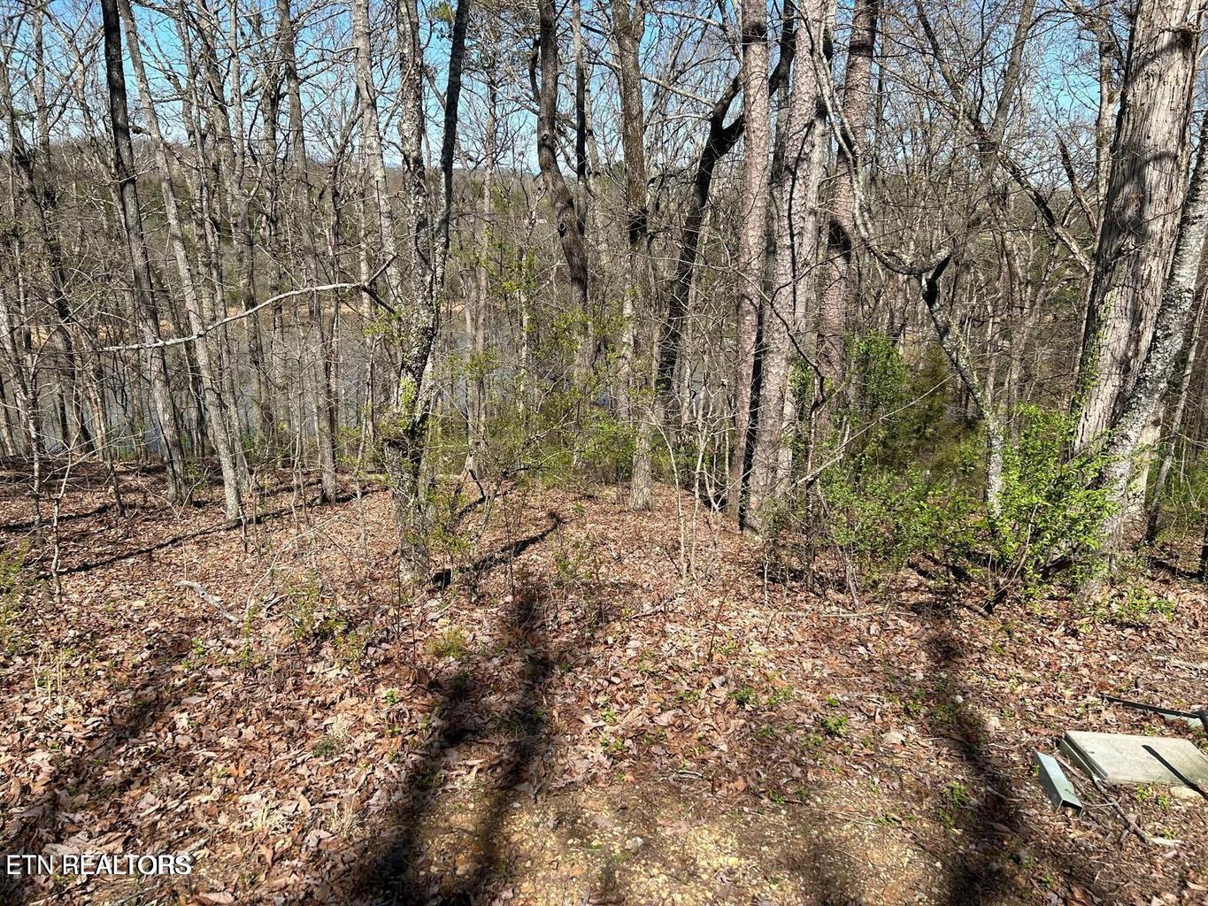 313 Skiatook Circle, Loudon, TN - Fort Loudoun and Tellico Lake Real Estate - Image# 1