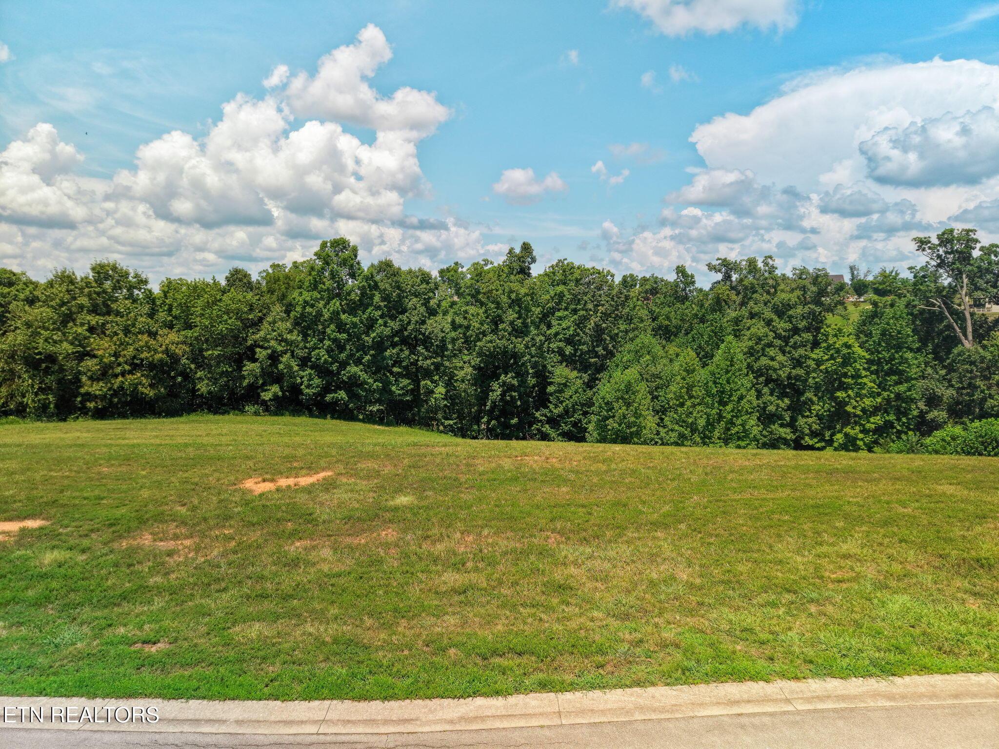 694 Taffrail Drive, Lenoir City, TN - Fort Loudoun and Tellico Lake Real Estate - Image# 2