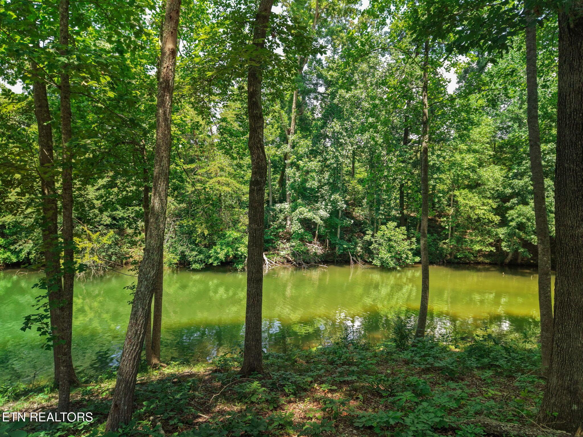 694 Taffrail Drive, Lenoir City, TN - Fort Loudoun and Tellico Lake Real Estate - Image# 15