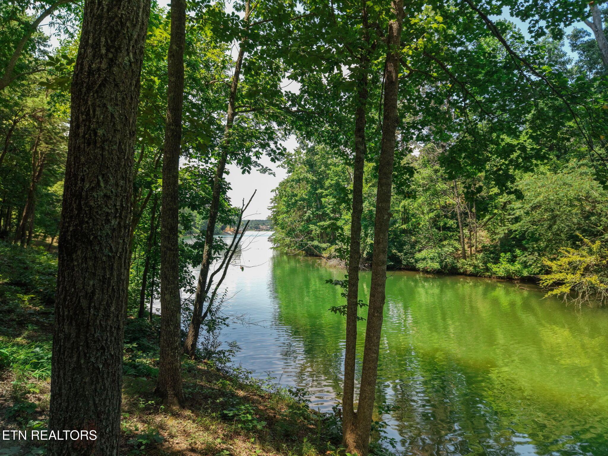 694 Taffrail Drive, Lenoir City, TN - Fort Loudoun and Tellico Lake Real Estate - Image# 16