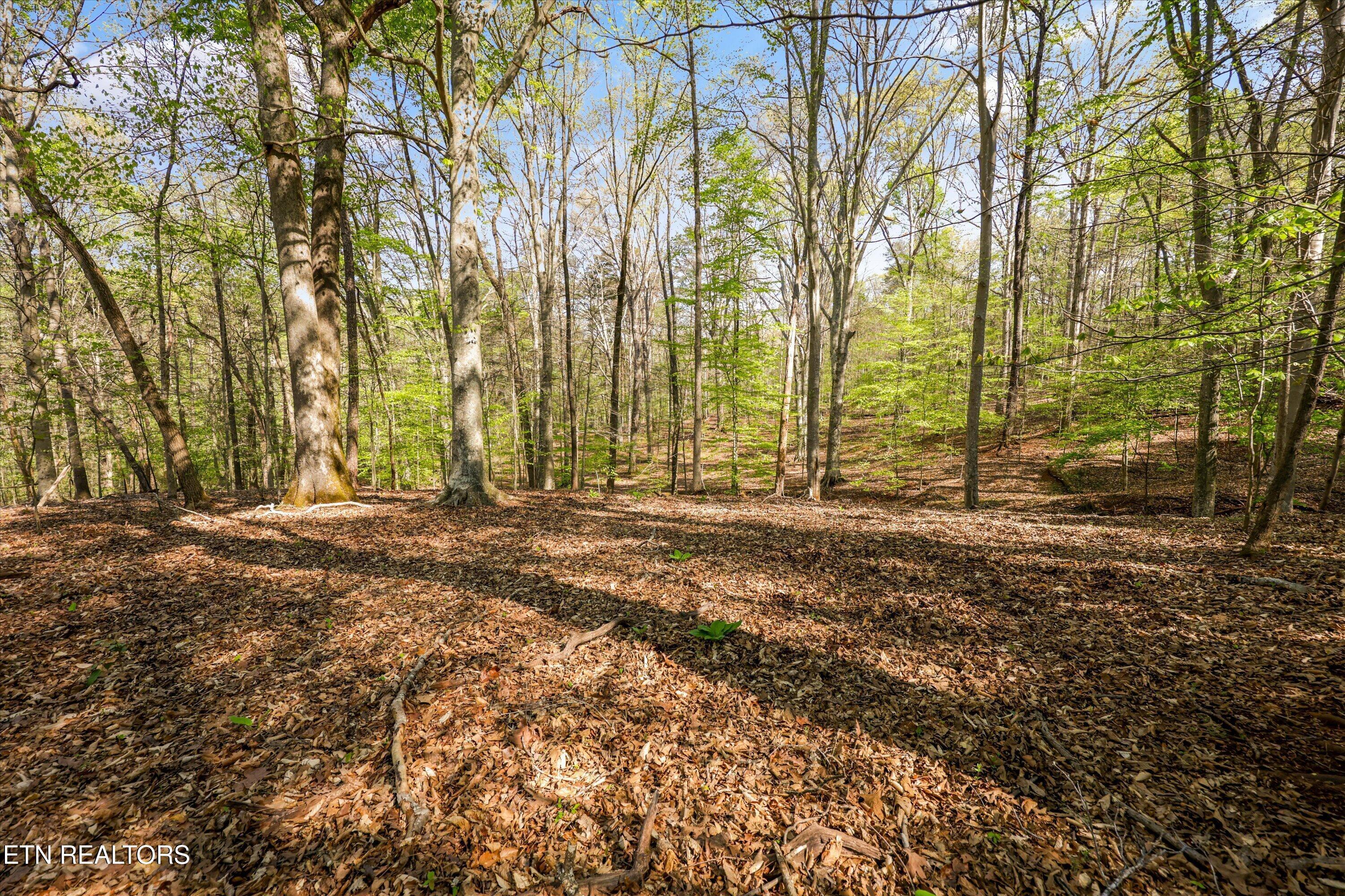 2323 & O Dawns Pass, Knoxville, TN - Fort Loudoun and Tellico Lake Real Estate - Image# 17