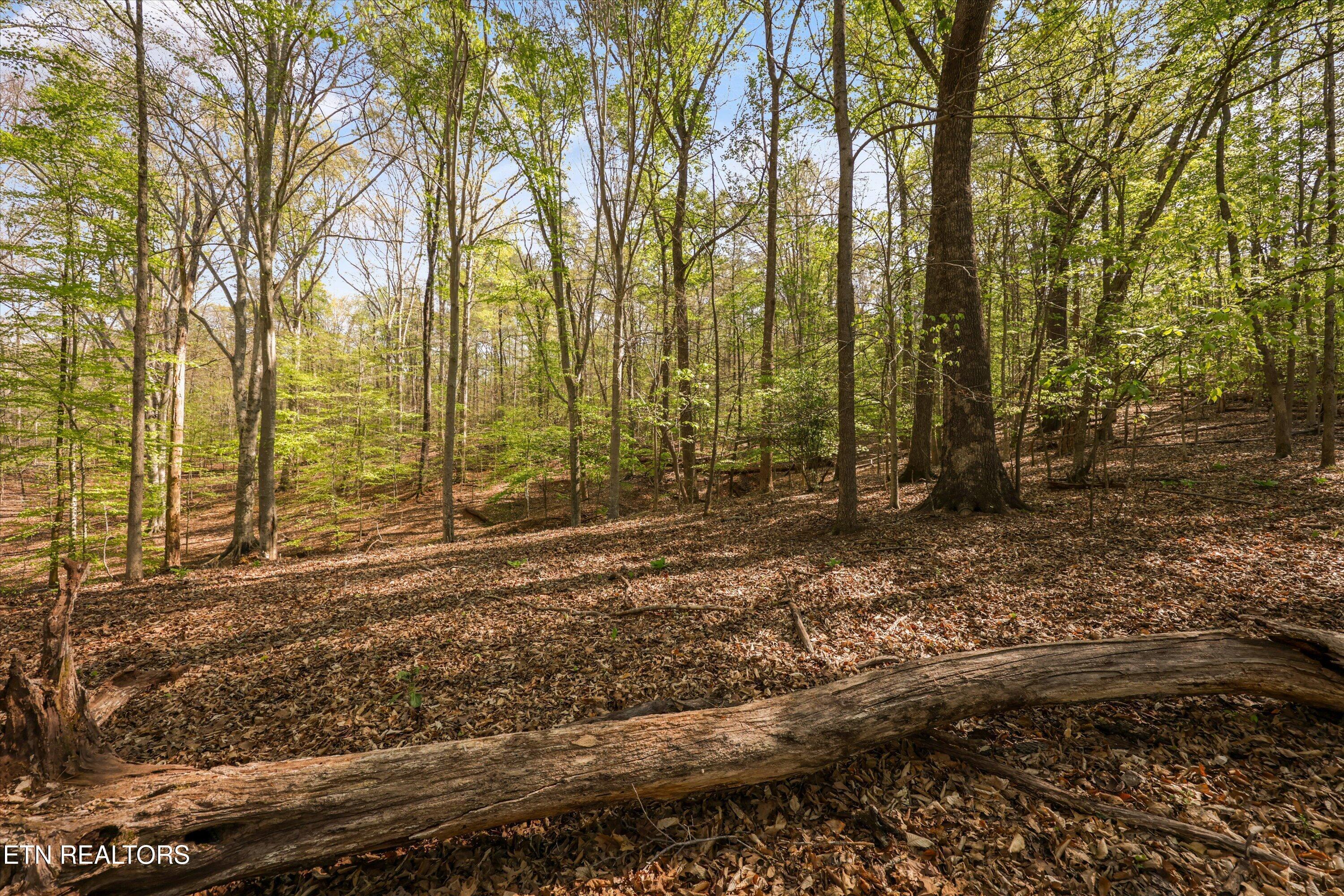 2323 & O Dawns Pass, Knoxville, TN - Fort Loudoun and Tellico Lake Real Estate - Image# 18