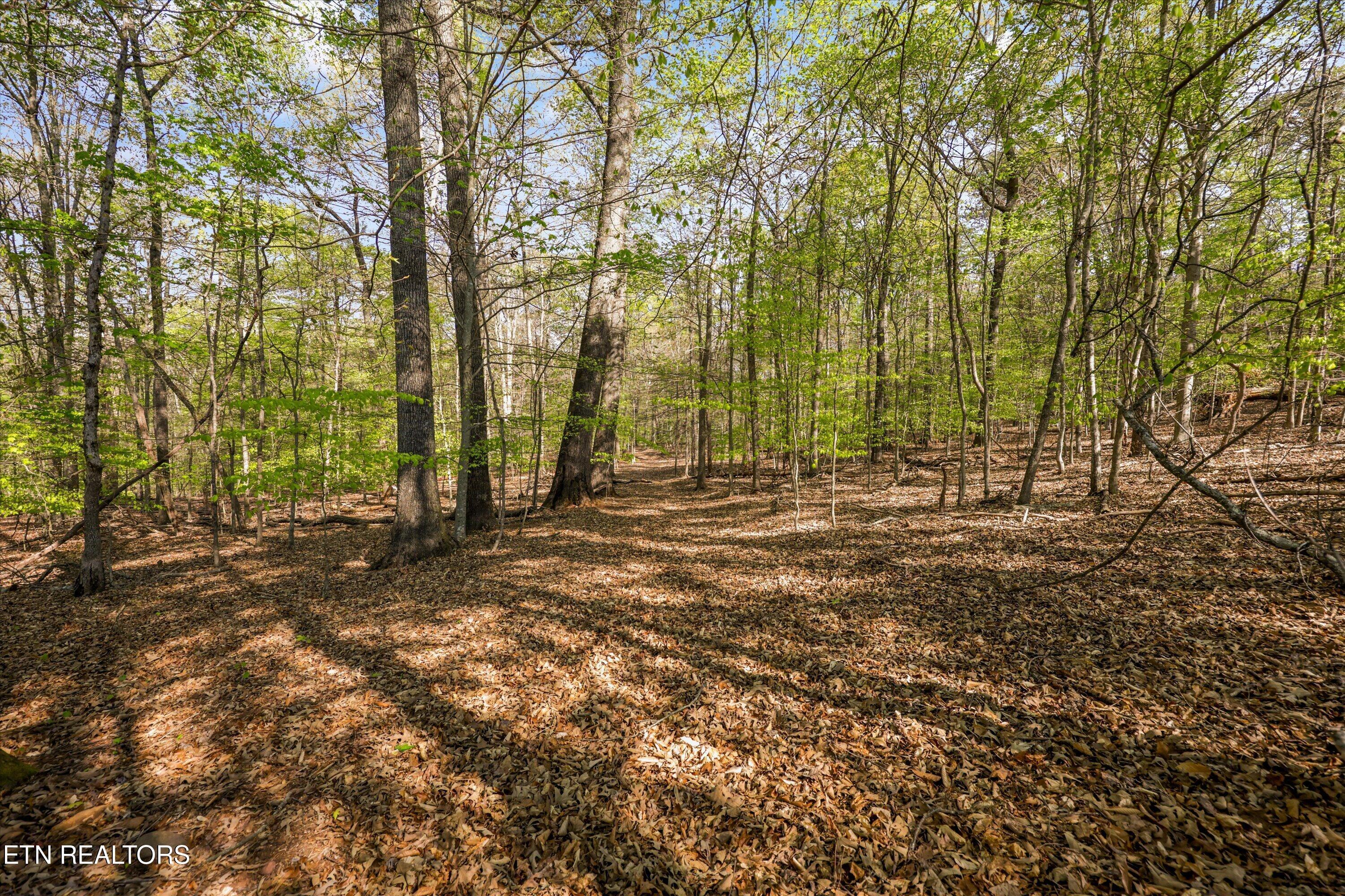 2323 & O Dawns Pass, Knoxville, TN - Fort Loudoun and Tellico Lake Real Estate - Image# 19