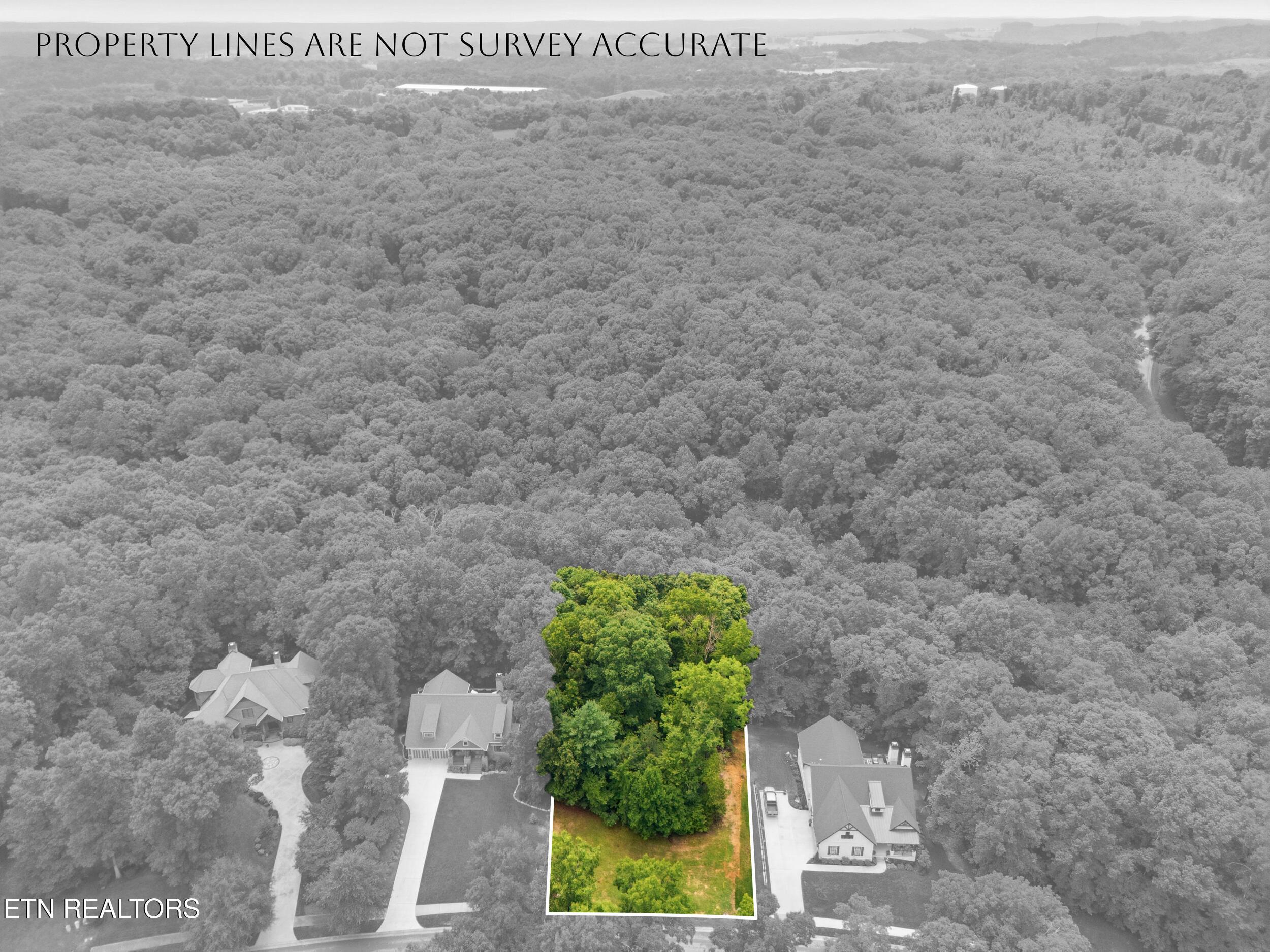 1004 Old Dogwood Tr, Loudon, TN - Fort Loudoun and Tellico Lake Real Estate - Image# 2