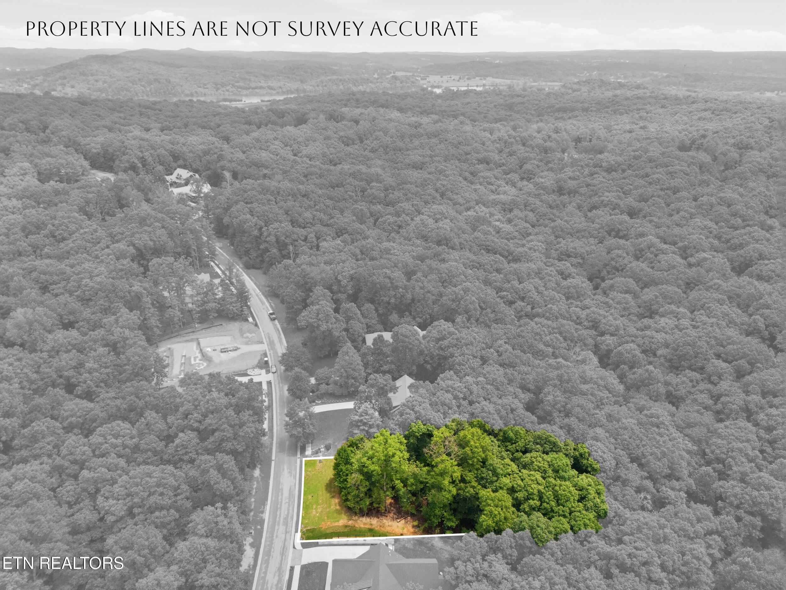 1004 Old Dogwood Tr, Loudon, TN - Fort Loudoun and Tellico Lake Real Estate - Image# 4
