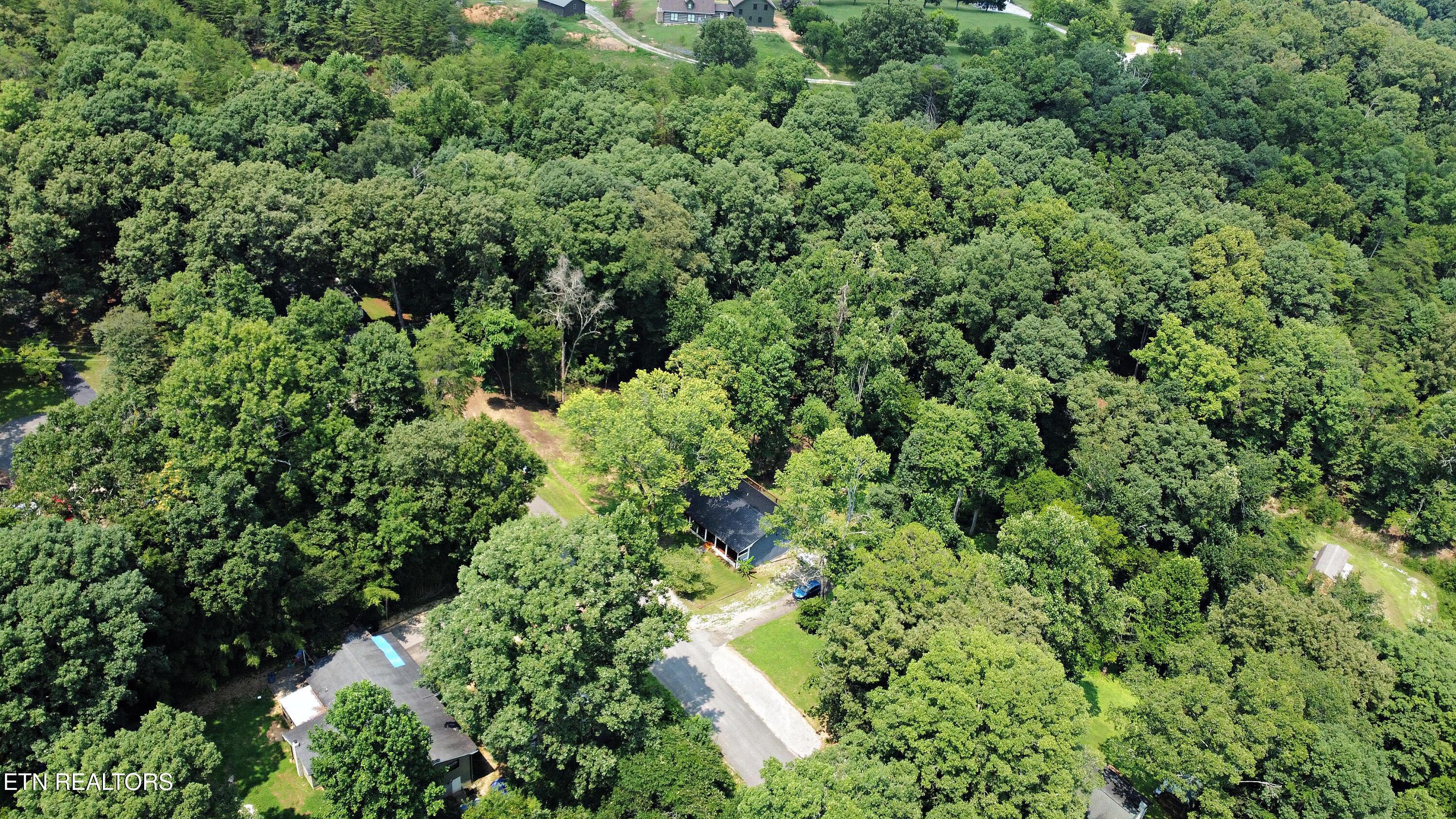 700 Lake Forest Drive, Lenoir City, TN - Fort Loudoun and Tellico Lake Real Estate - Image# 35