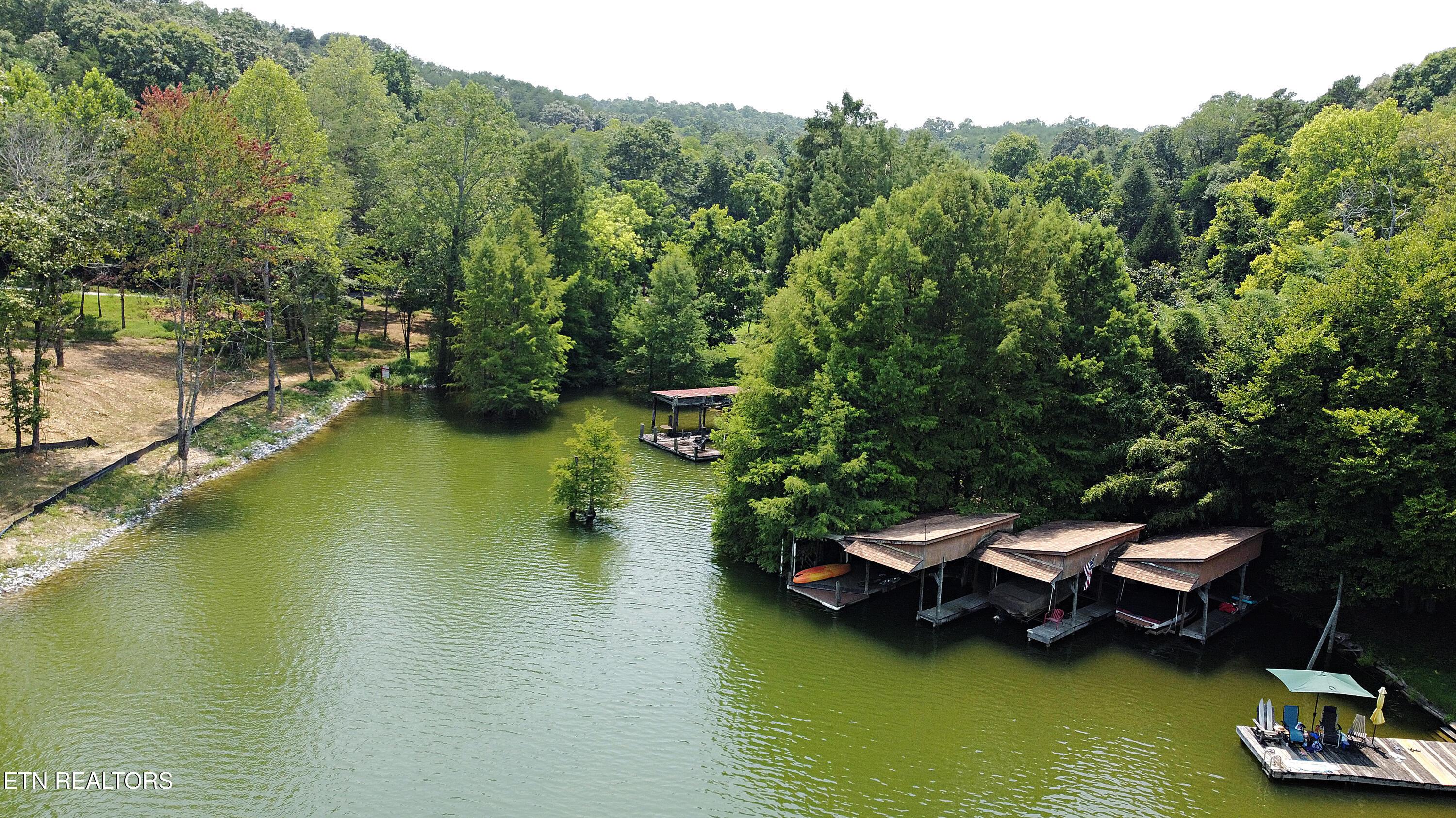 700 Lake Forest Drive, Lenoir City, TN - Fort Loudoun and Tellico Lake Real Estate - Image# 7