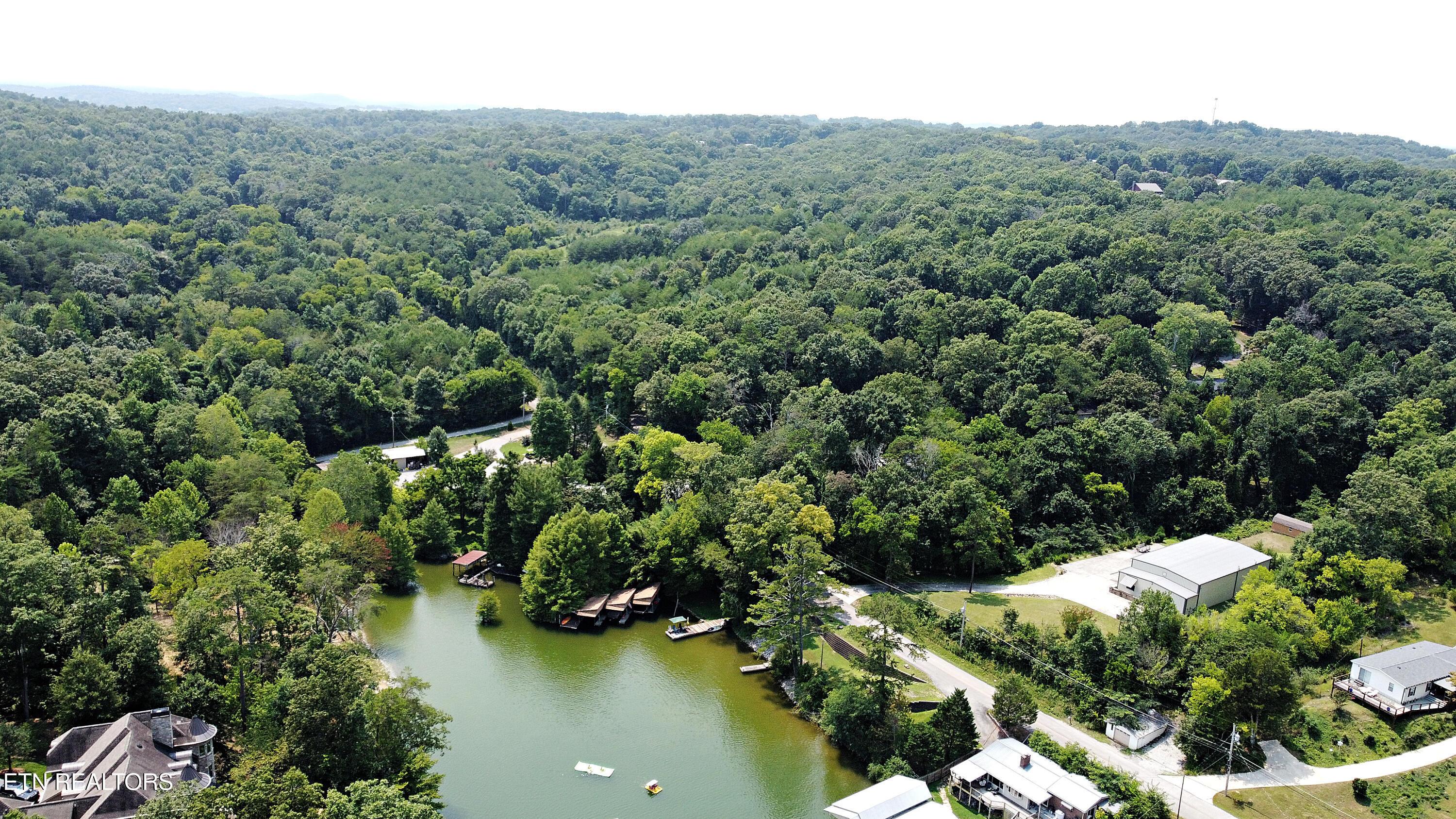 700 Lake Forest Drive, Lenoir City, TN - Fort Loudoun and Tellico Lake Real Estate - Image# 39