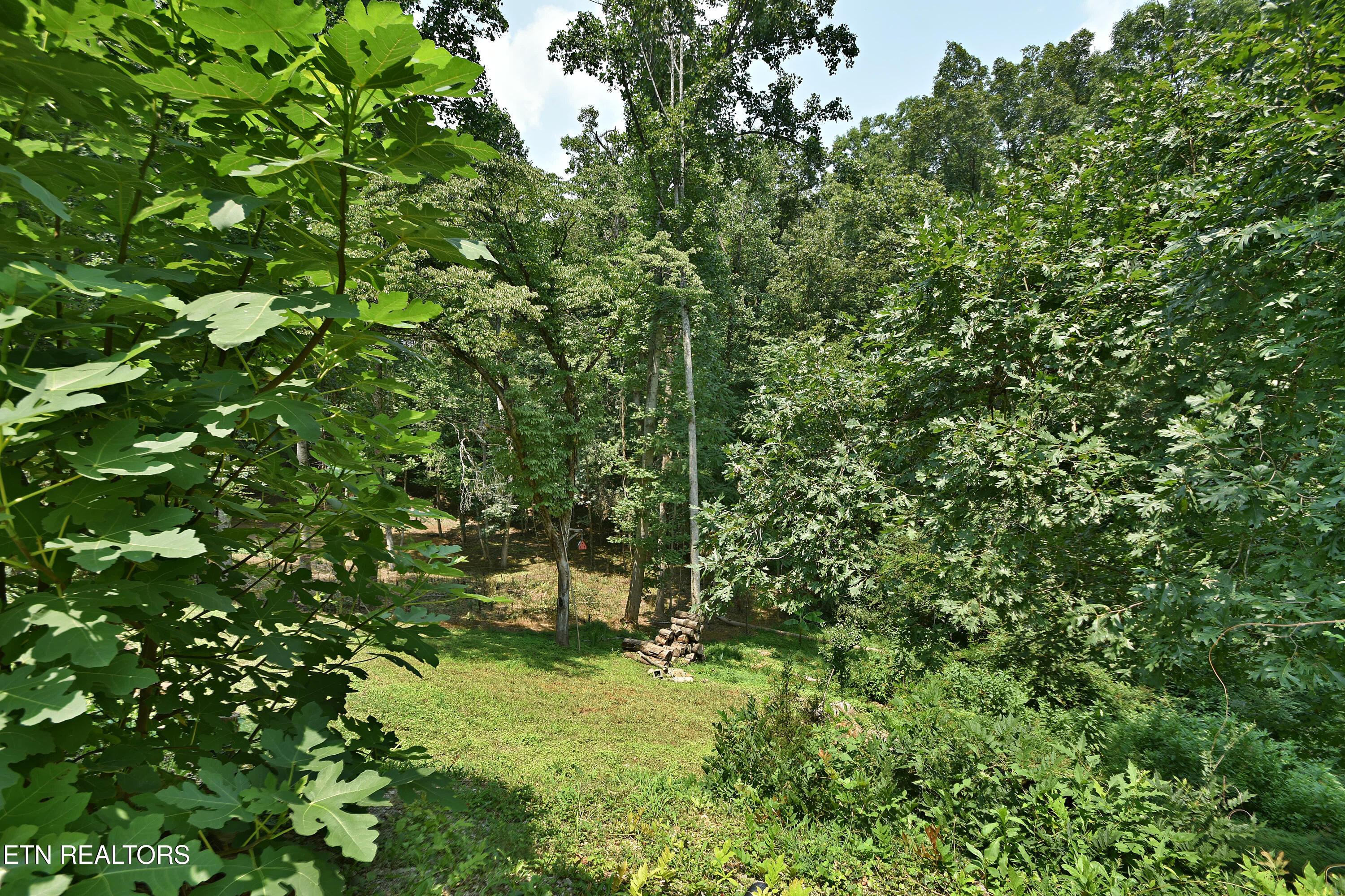 700 Lake Forest Drive, Lenoir City, TN - Fort Loudoun and Tellico Lake Real Estate - Image# 33