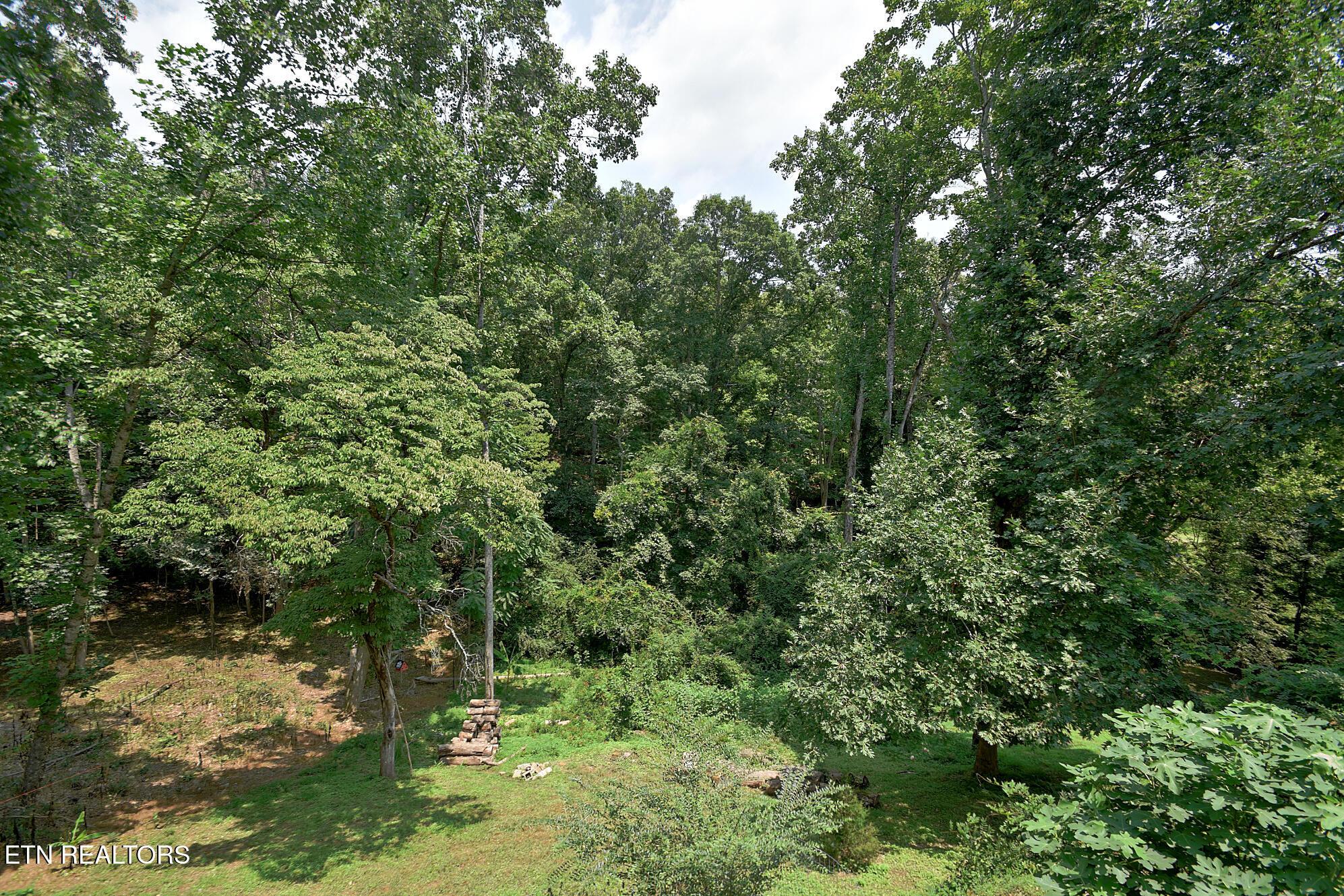700 Lake Forest Drive, Lenoir City, TN - Fort Loudoun and Tellico Lake Real Estate - Image# 31