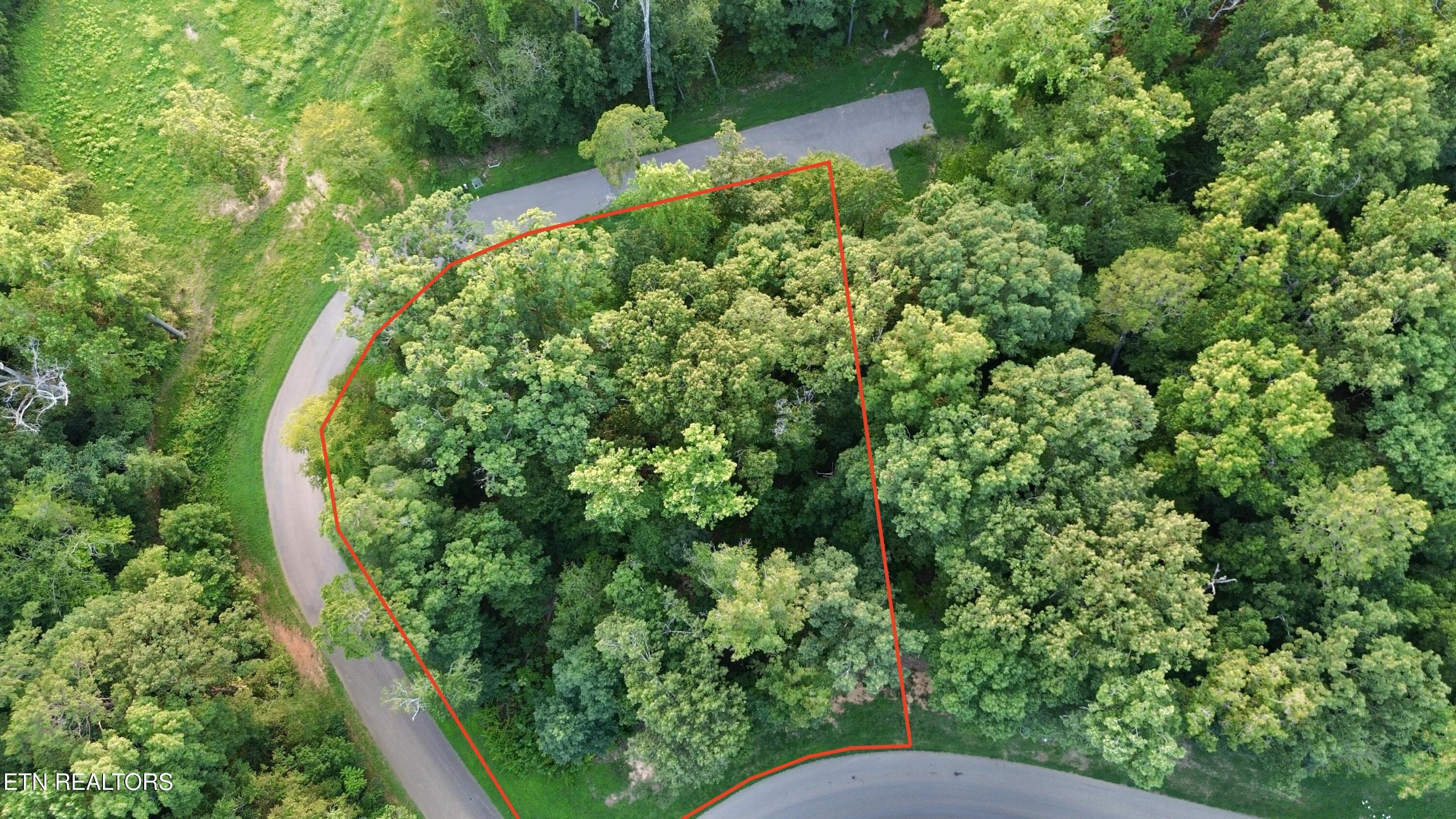 Lot 250 Arcadia Peninsula Way, Knoxville, TN - Fort Loudoun and Tellico Lake Real Estate - Image# 2