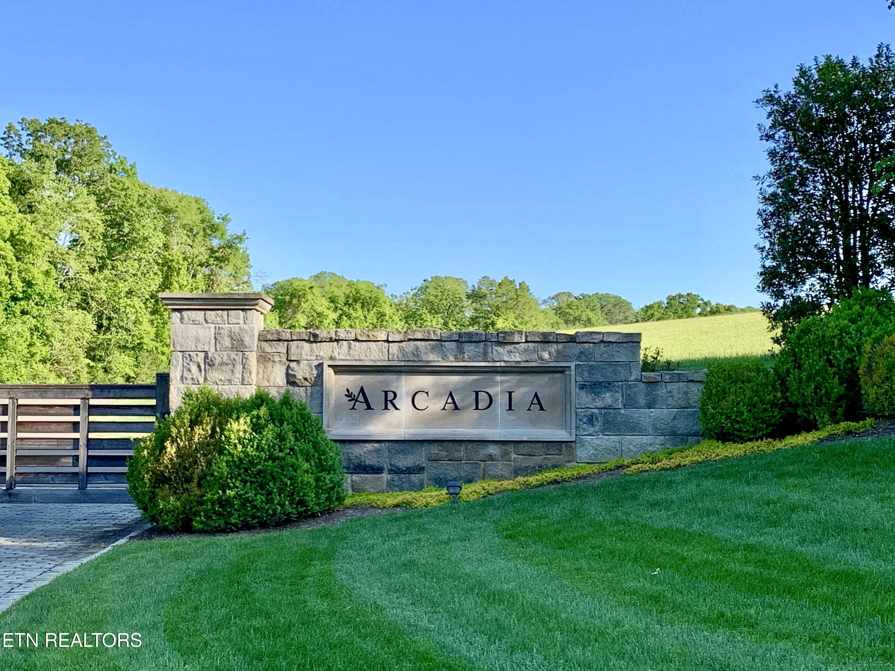 Lot 250 Arcadia Peninsula Way, Knoxville, TN - Fort Loudoun and Tellico Lake Real Estate - Image# 3