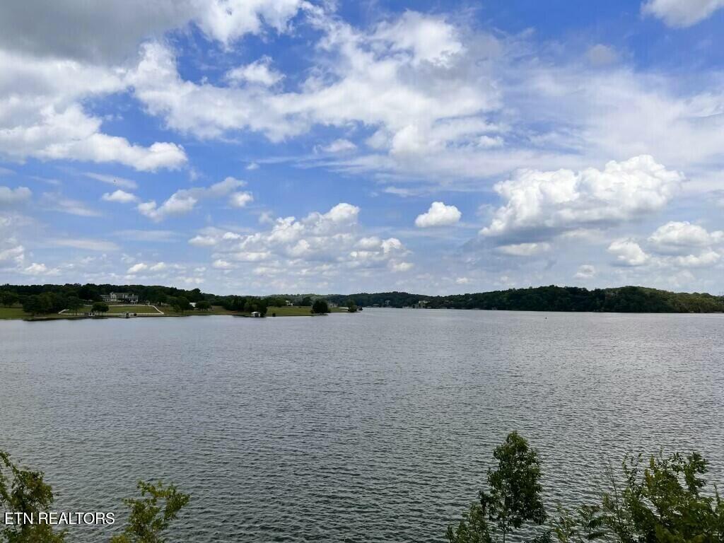 Donaldson Light Lane, Lenoir City, TN