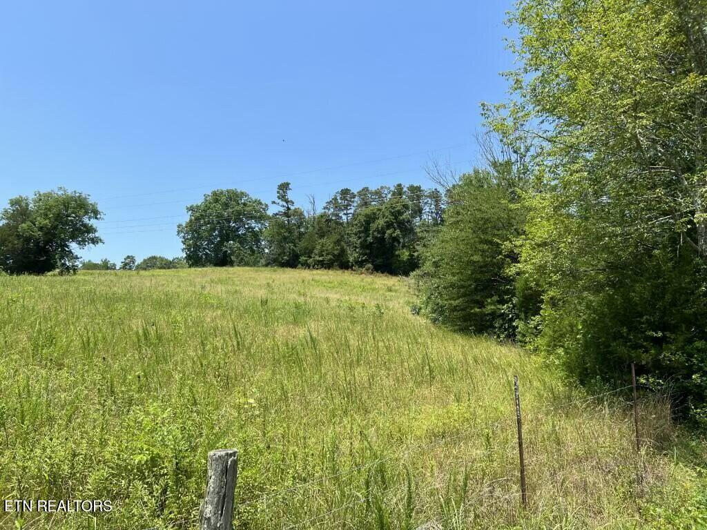 Donaldson Light Lane, Lenoir City, TN - Fort Loudoun and Tellico Lake Real Estate - Image# 2