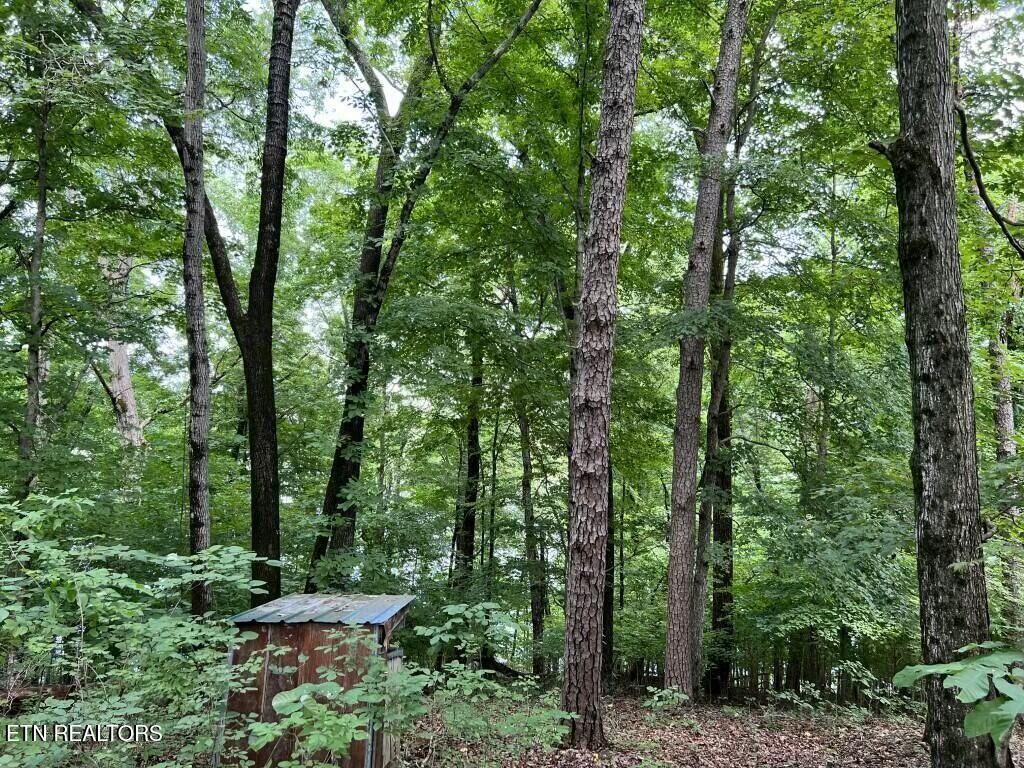 Donaldson Light Lane, Lenoir City, TN - Fort Loudoun and Tellico Lake Real Estate - Image# 7