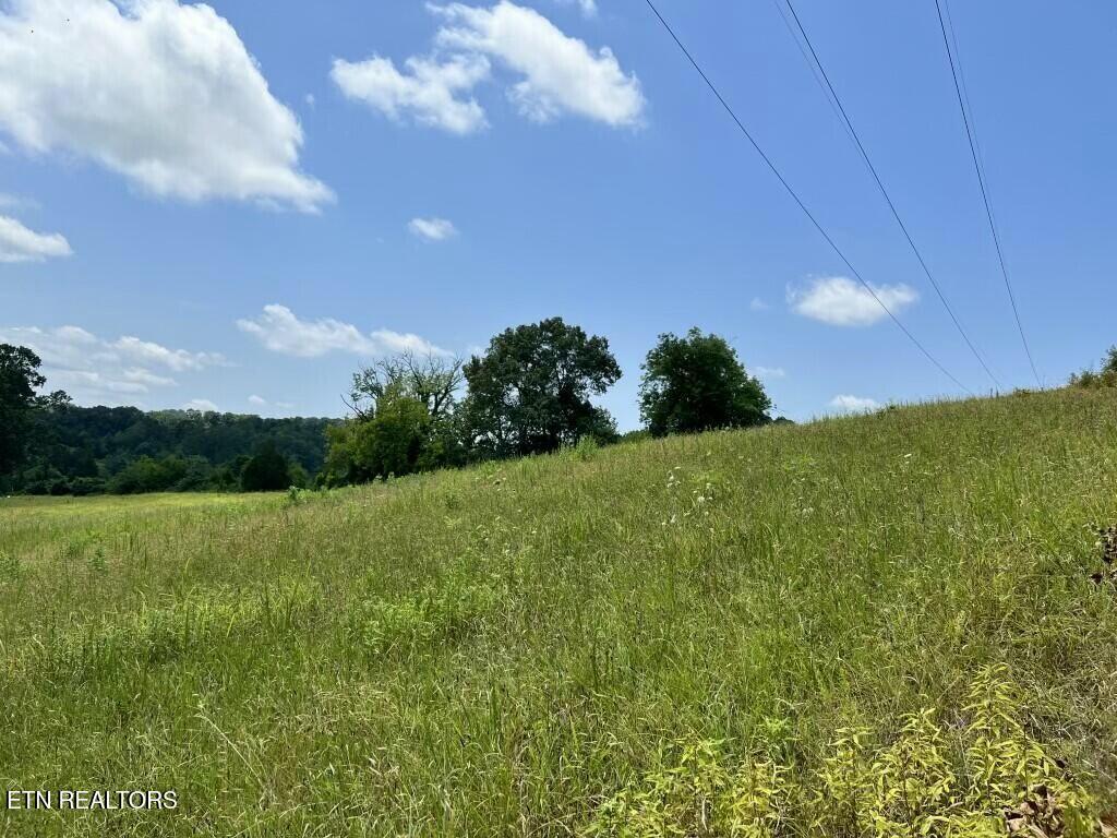 Donaldson Light Lane, Lenoir City, TN - Fort Loudoun and Tellico Lake Real Estate - Image# 10