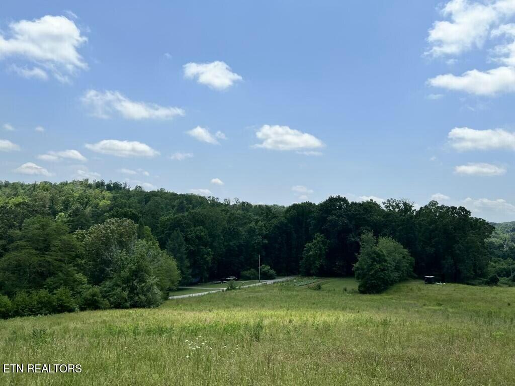 Donaldson Light Lane, Lenoir City, TN - Fort Loudoun and Tellico Lake Real Estate - Image# 11