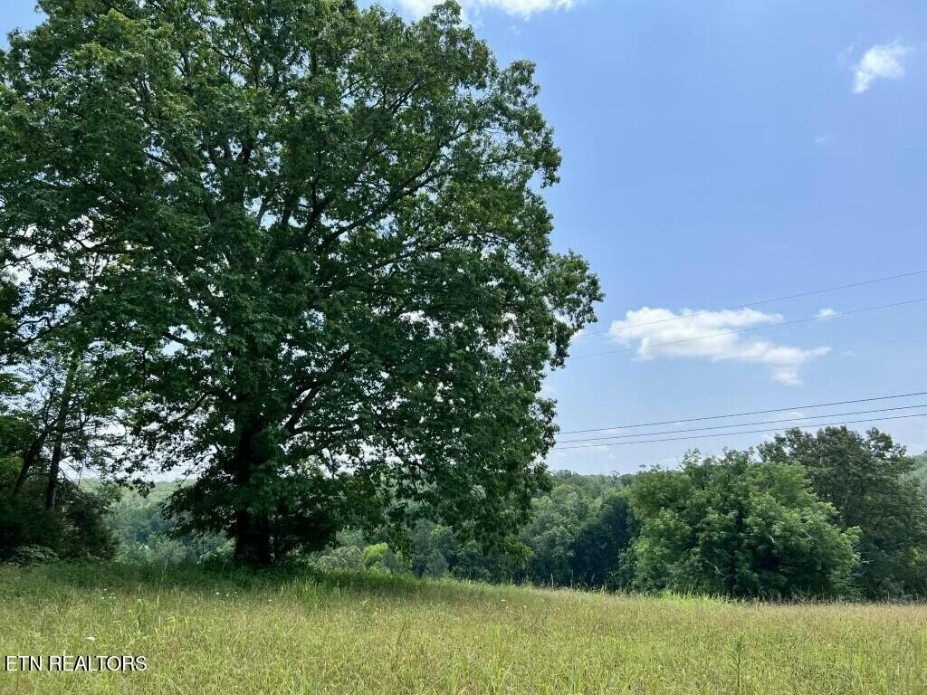 Donaldson Light Lane, Lenoir City, TN - Fort Loudoun and Tellico Lake Real Estate - Image# 12