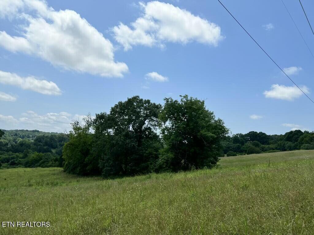 Donaldson Light Lane, Lenoir City, TN - Fort Loudoun and Tellico Lake Real Estate - Image# 14