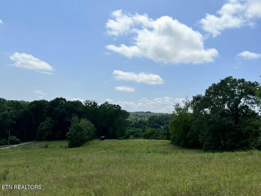 Donaldson Light Lane, Lenoir City, TN - Fort Loudoun and Tellico Lake Real Estate - Image# 15