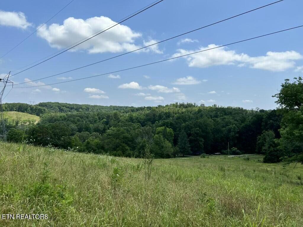 Donaldson Light Lane, Lenoir City, TN - Fort Loudoun and Tellico Lake Real Estate - Image# 16